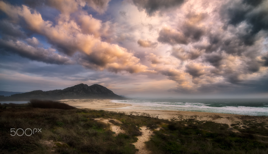 Sony a7R + Minolta AF 17-35mm F2.8-4 (D) sample photo. The beach photography