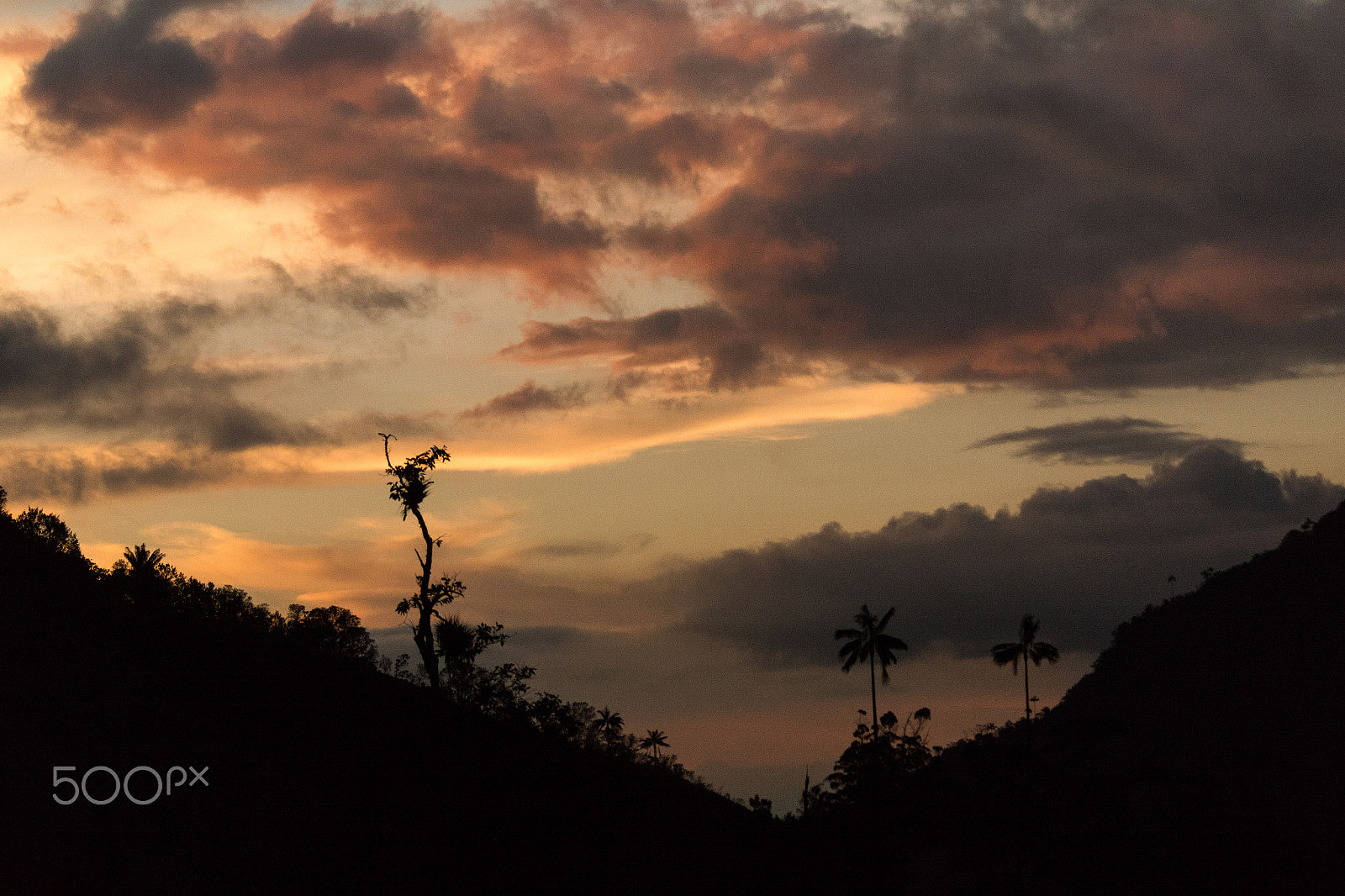 Samsung NX1000 + Samsung NX 50-200mm F4-5.6 ED OIS sample photo. Valley of cocora - quinío (colombia) photography