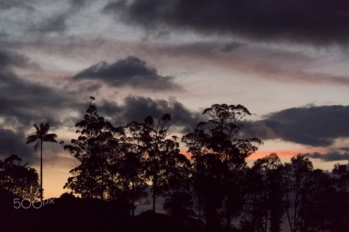 Samsung NX1000 + Samsung NX 50-200mm F4-5.6 ED OIS sample photo. Valley of cocora - quinío (colombia) photography
