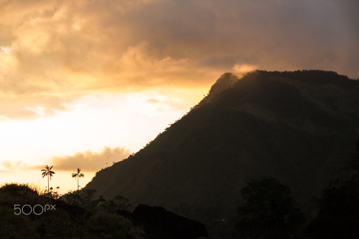 Samsung NX1000 + Samsung NX 50-200mm F4-5.6 ED OIS sample photo. Valley of cocora - quinío (colombia) photography