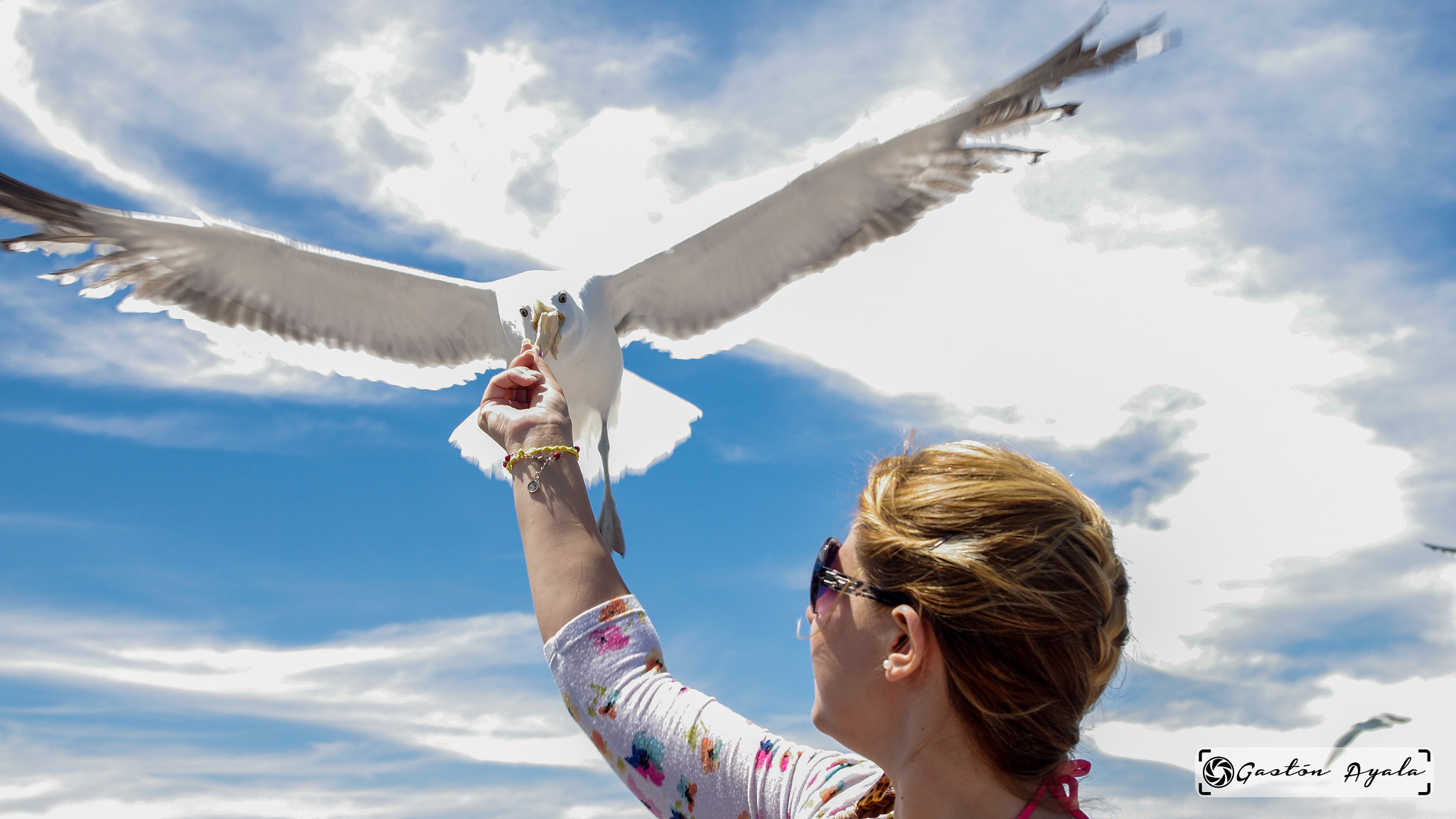 smc PENTAX-DA L 18-55mm F3.5-5.6 sample photo. Seagull eating photography
