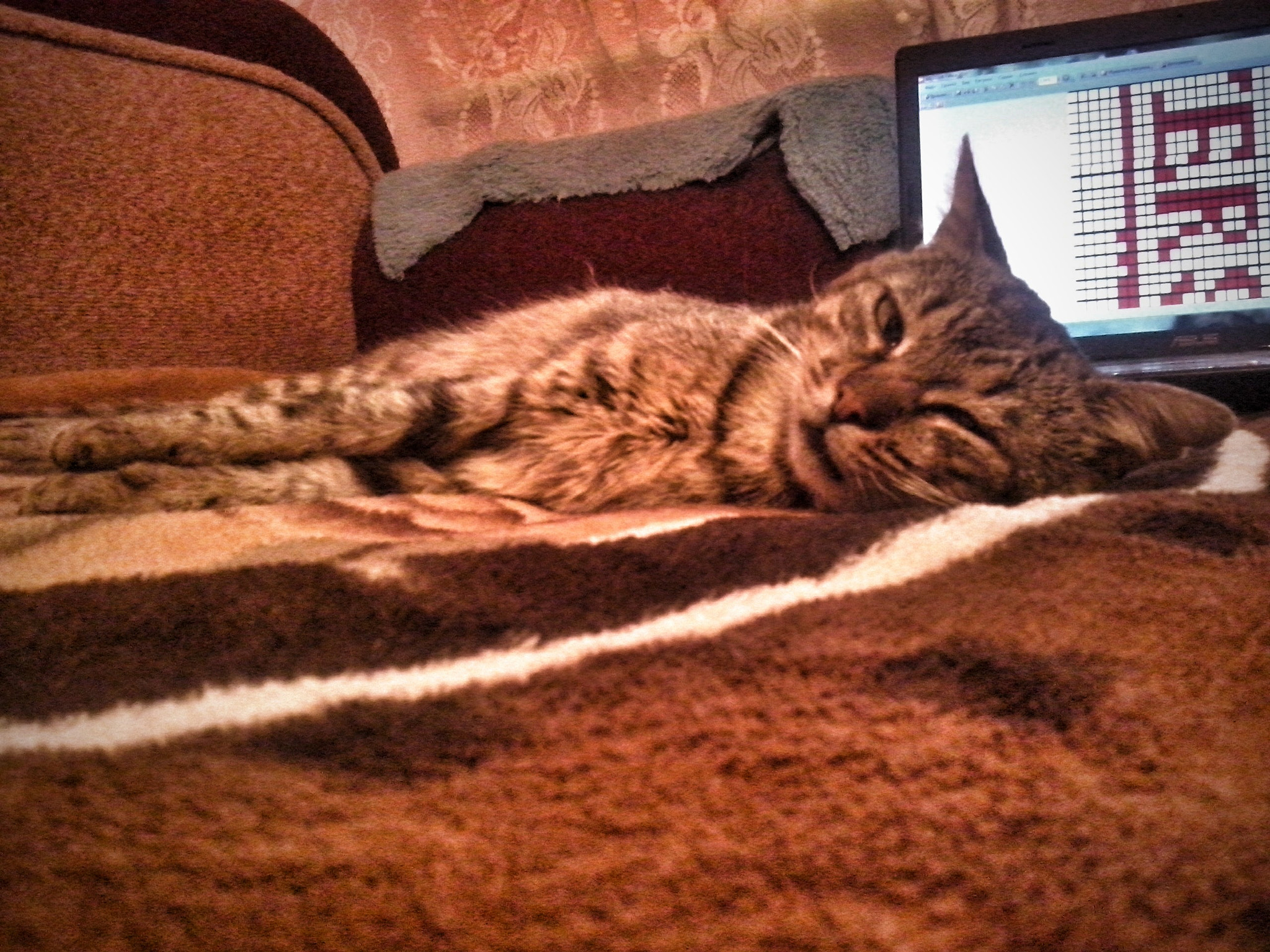 LG OPTIMUS L5 II sample photo. ~ photography
