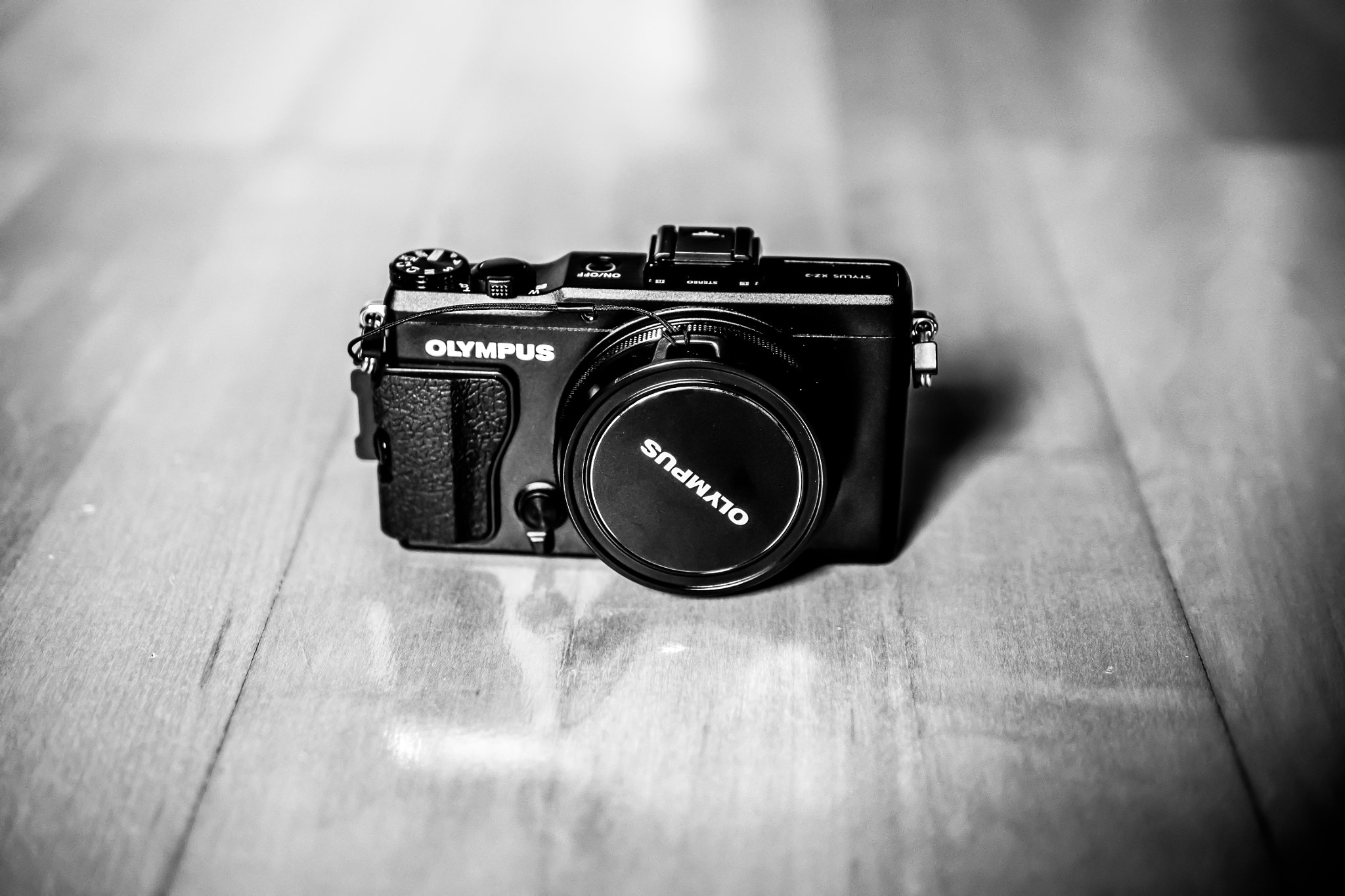 Olympus OM-D E-M10 + Panasonic Leica DG Summilux 25mm F1.4 II ASPH sample photo. Playmate photography