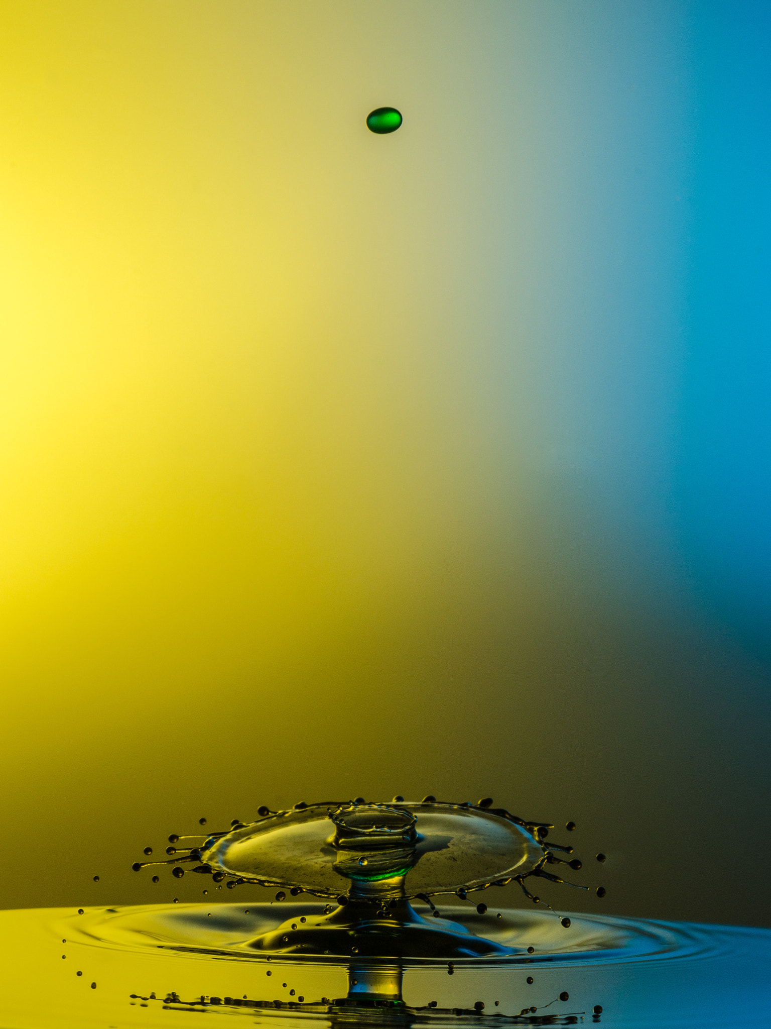 Sigma 150mm F2.8 EX DG Macro HSM sample photo. Yellow and blue photography