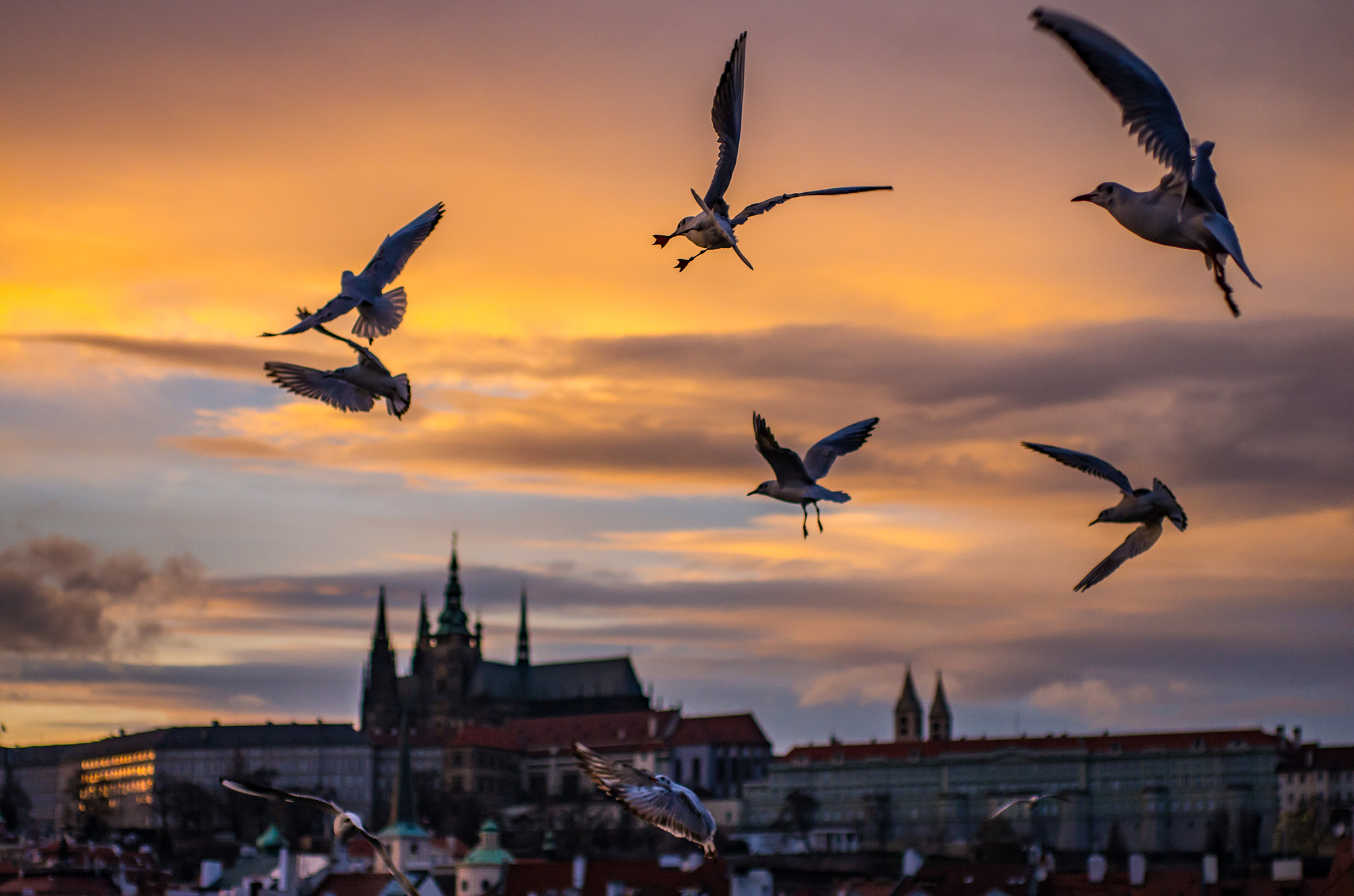 Pentax K-5 sample photo. Charles bridge photography