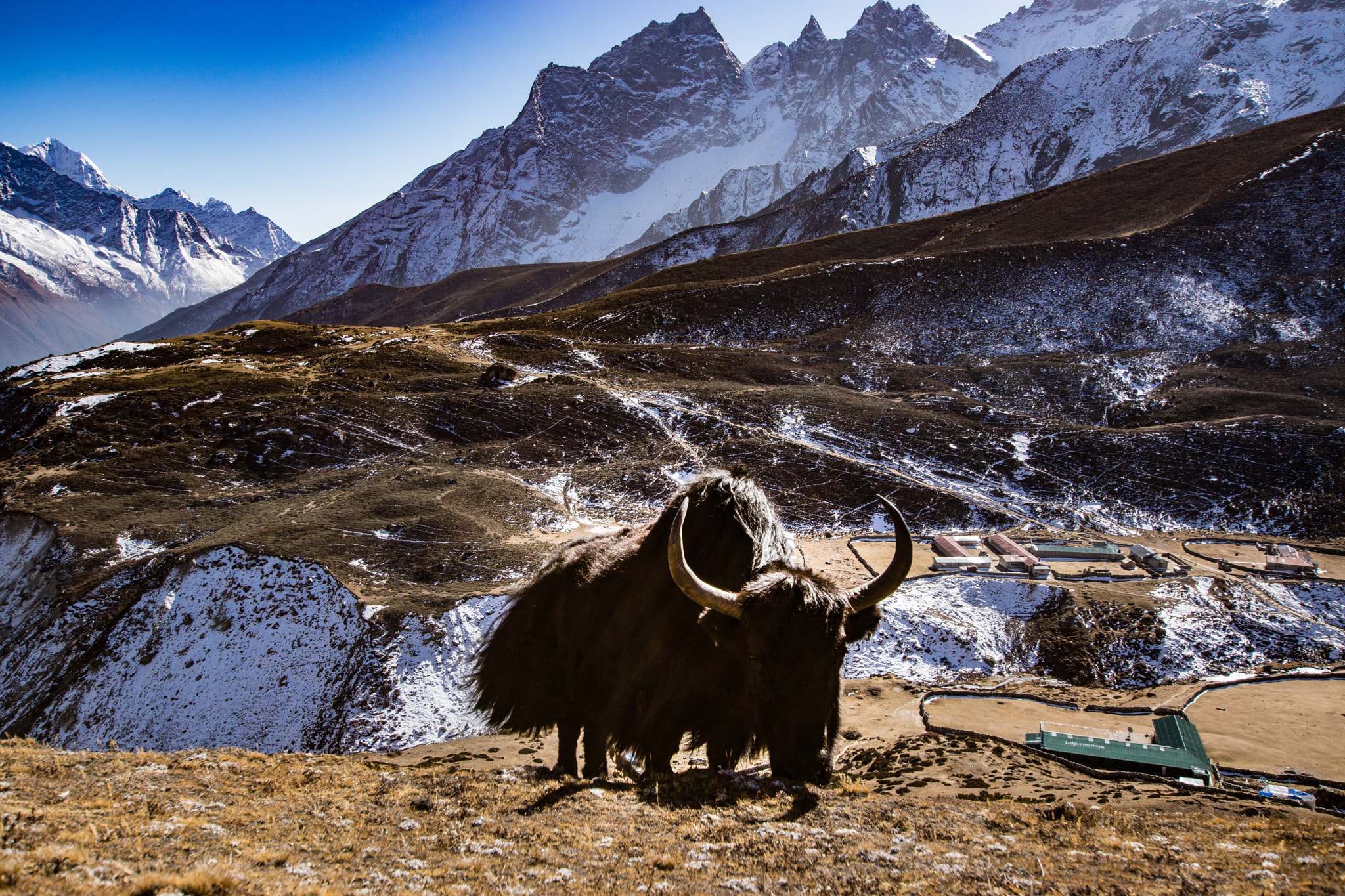 Sony SLT-A65 (SLT-A65V) + 10-20mm F3.5 sample photo. Yark mount everest photography