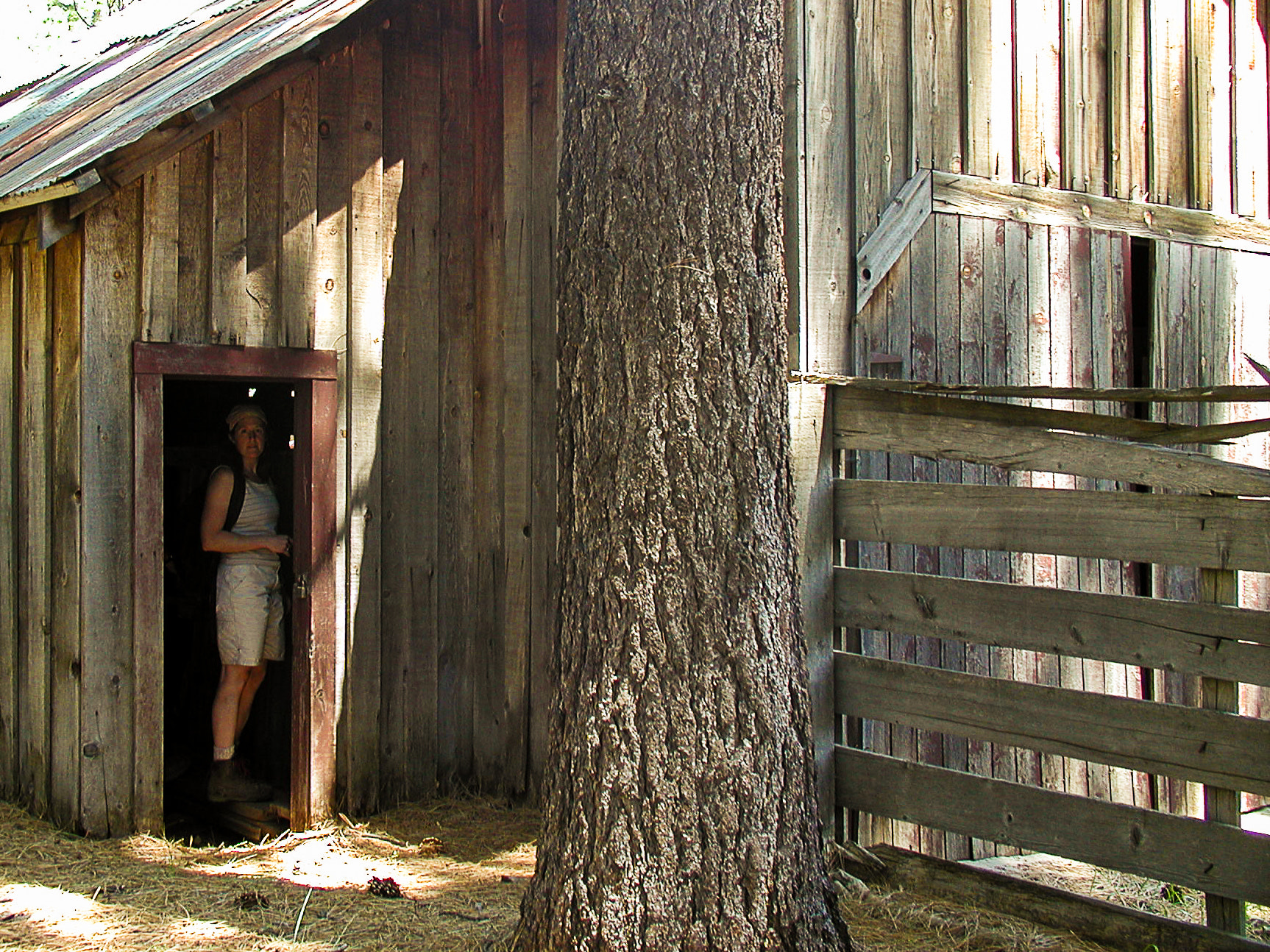 Olympus C3030Z sample photo. Abandoned barn photography