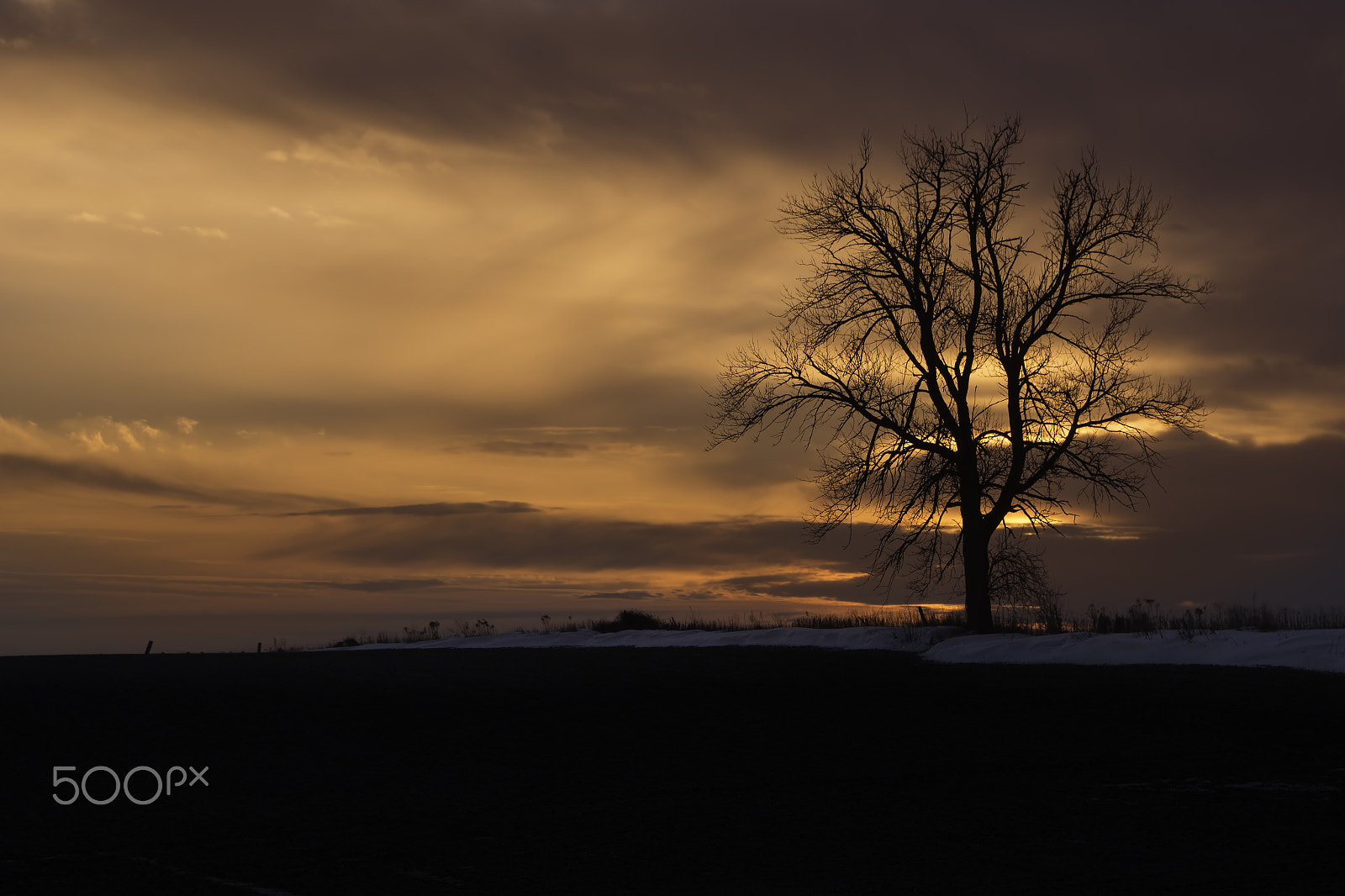 28-70mm F3.5-5.6 OSS sample photo. January sunset photography