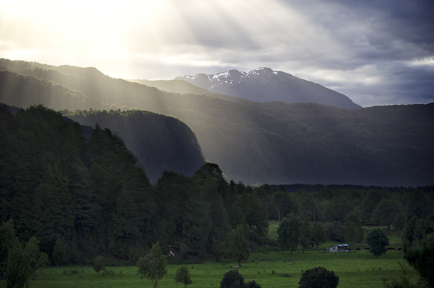 AF-S Zoom-Nikkor 80-200mm f/2.8D IF-ED sample photo. Simpson valley photography