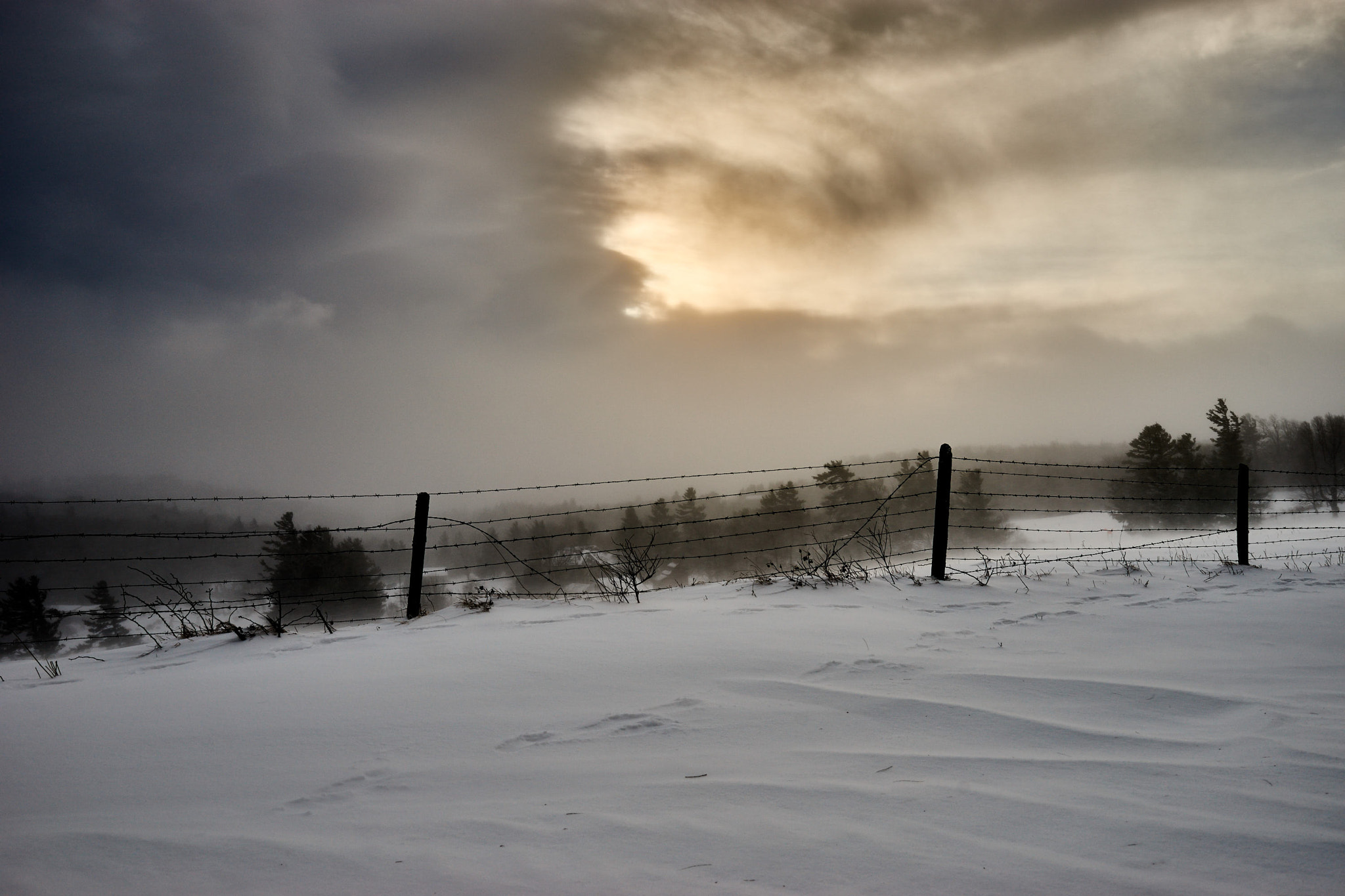 Sony a99 II + Minolta AF 28-70mm F2.8 G sample photo. A glympse of warmth in the firgid cold photography