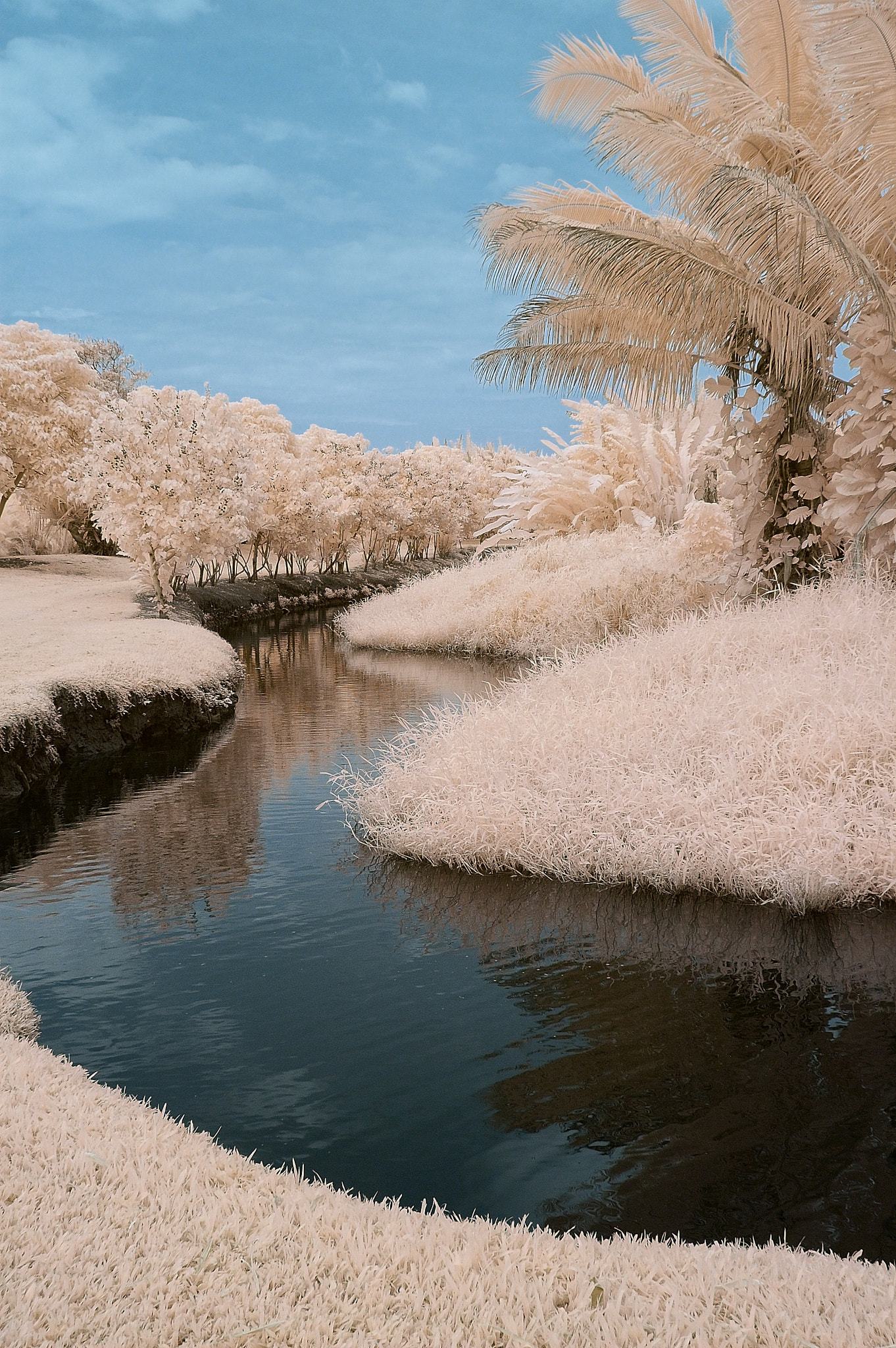 Nikon D70s sample photo. Hanalei river channel, ir photography