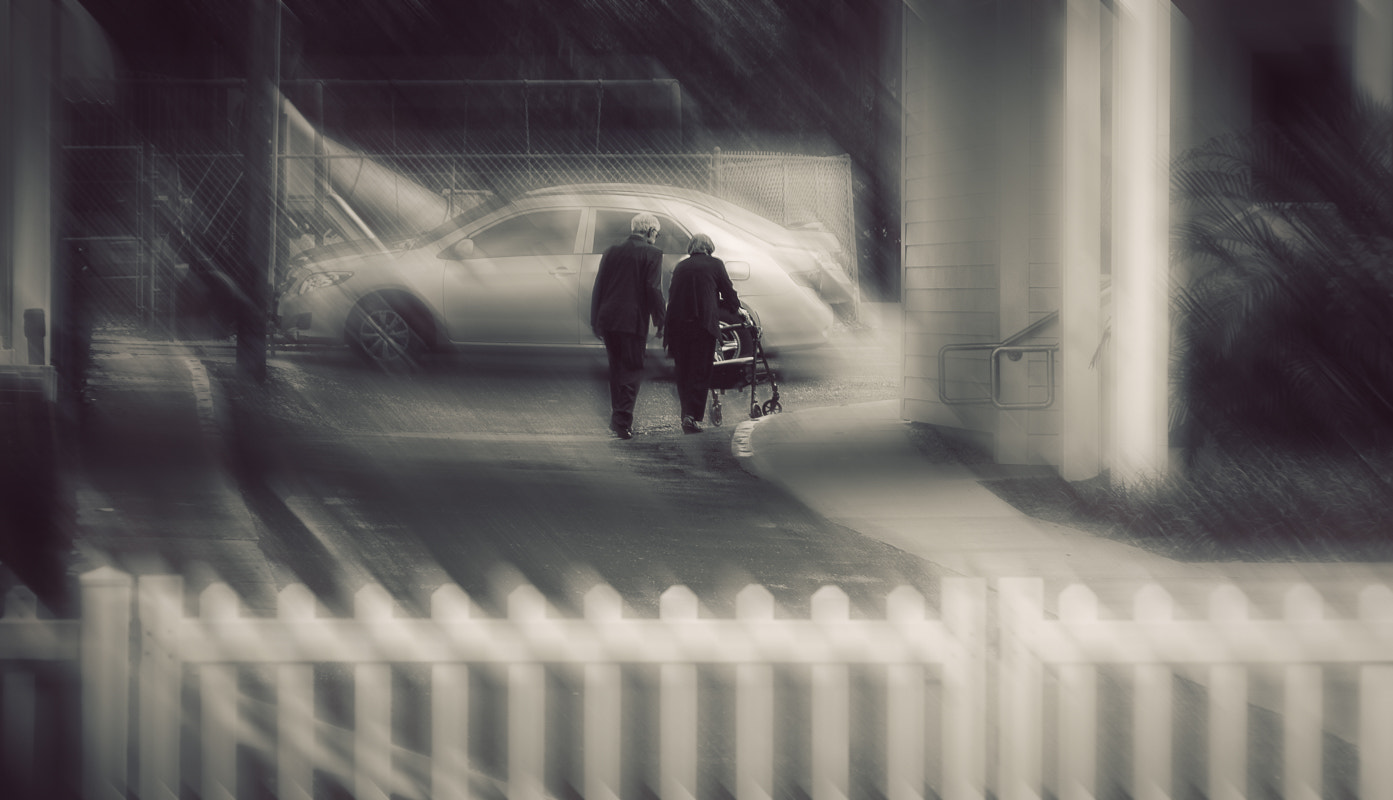 Olympus PEN E-P3 sample photo. Soul mates to the end of time 339/365 photography