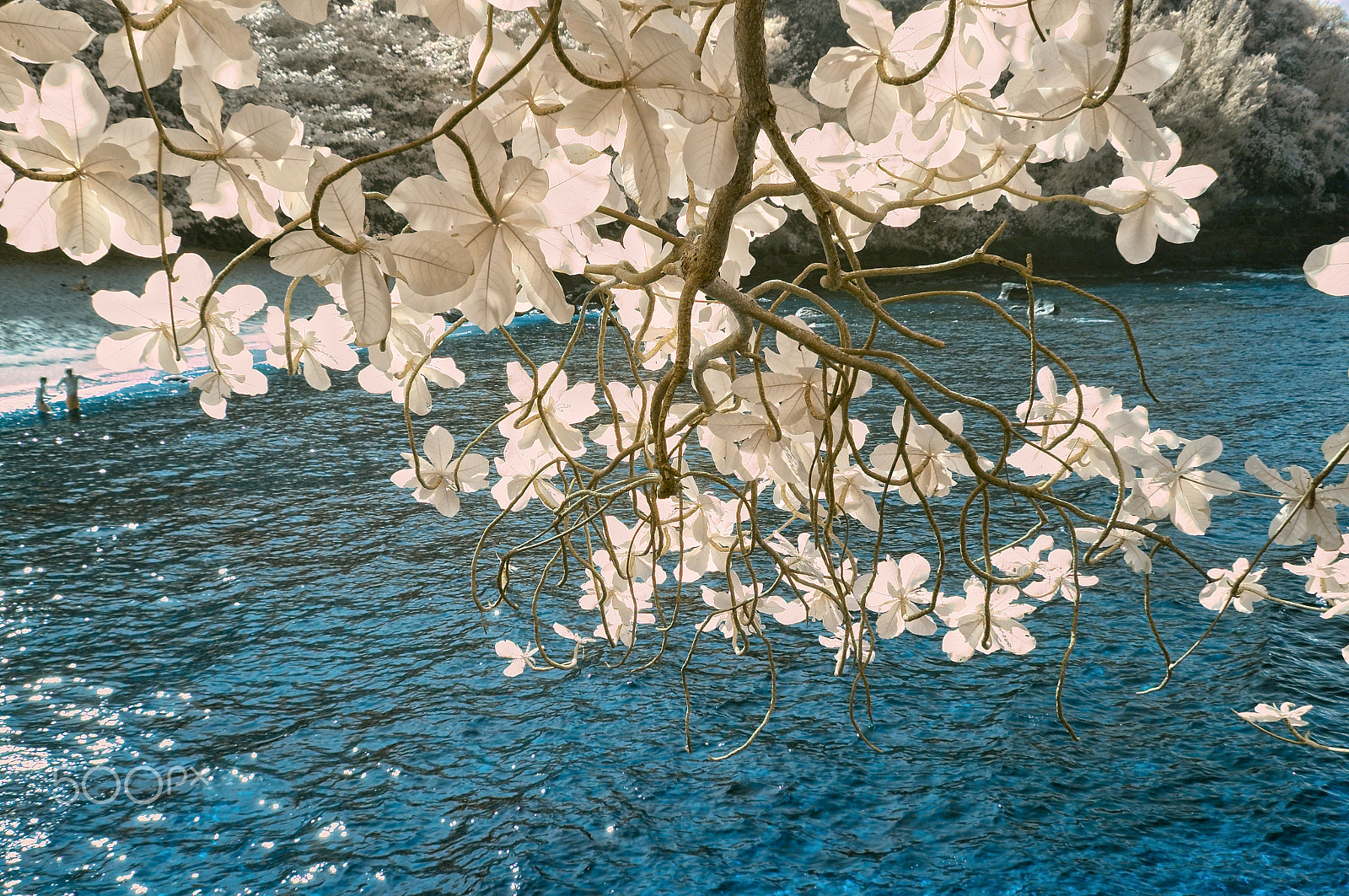 Nikon D70s sample photo. Sealodge beach, ir photography