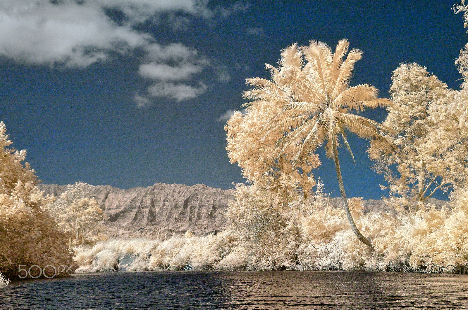 Nikon D70s sample photo. Hanalei river, ir photography