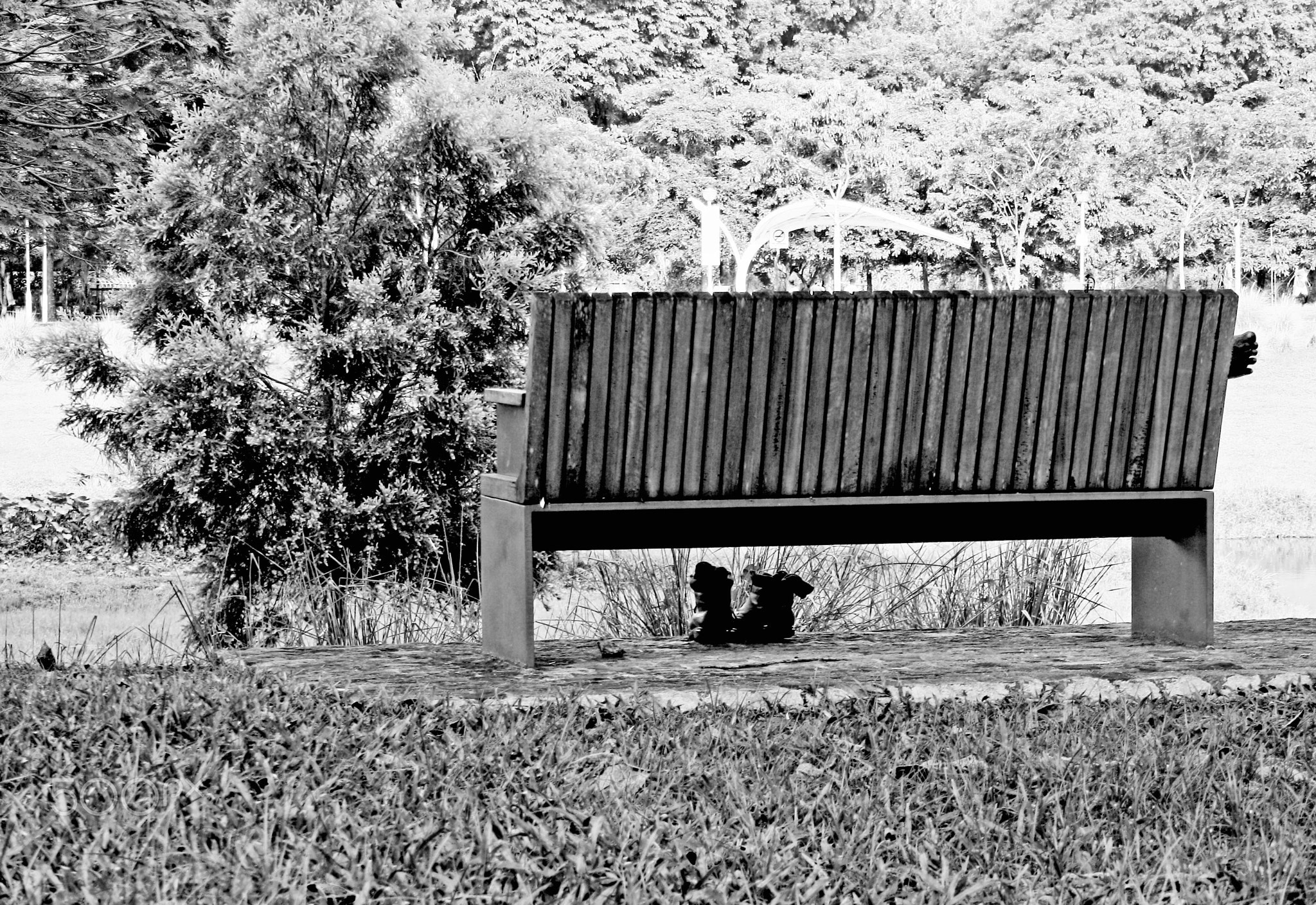 Solitude