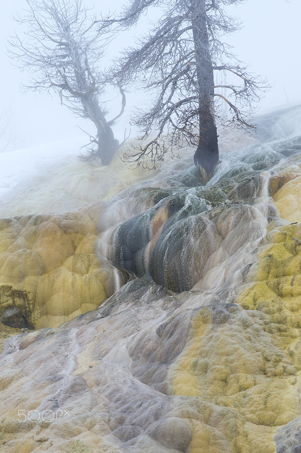 Nikon AF-S Nikkor 70-200mm F4G ED VR sample photo. Ancient sentinels photography