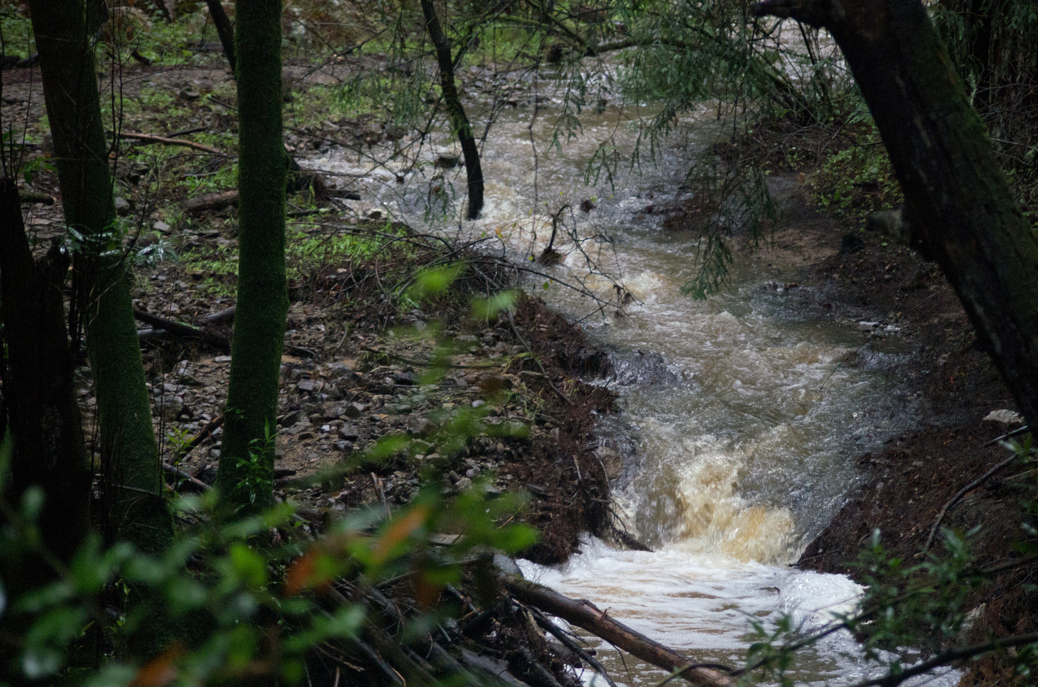 Pentax K-5 sample photo. _bda4851.jpg photography