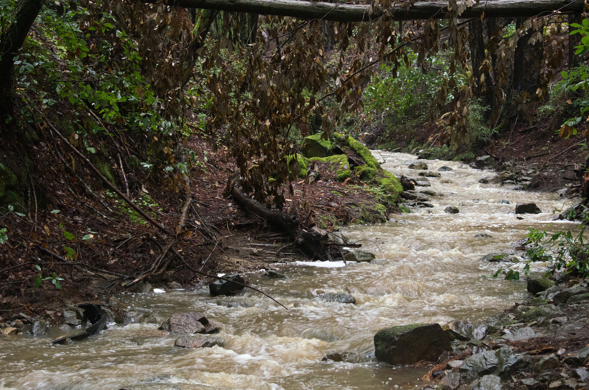 Pentax K-5 sample photo. _bda4866.jpg photography