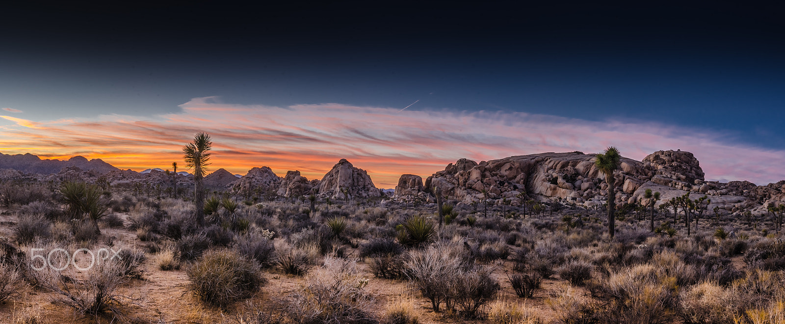 Nikon AF-S Nikkor 17-35mm F2.8D ED-IF sample photo. Joshua tree hidden valley winter sunset panorama photography
