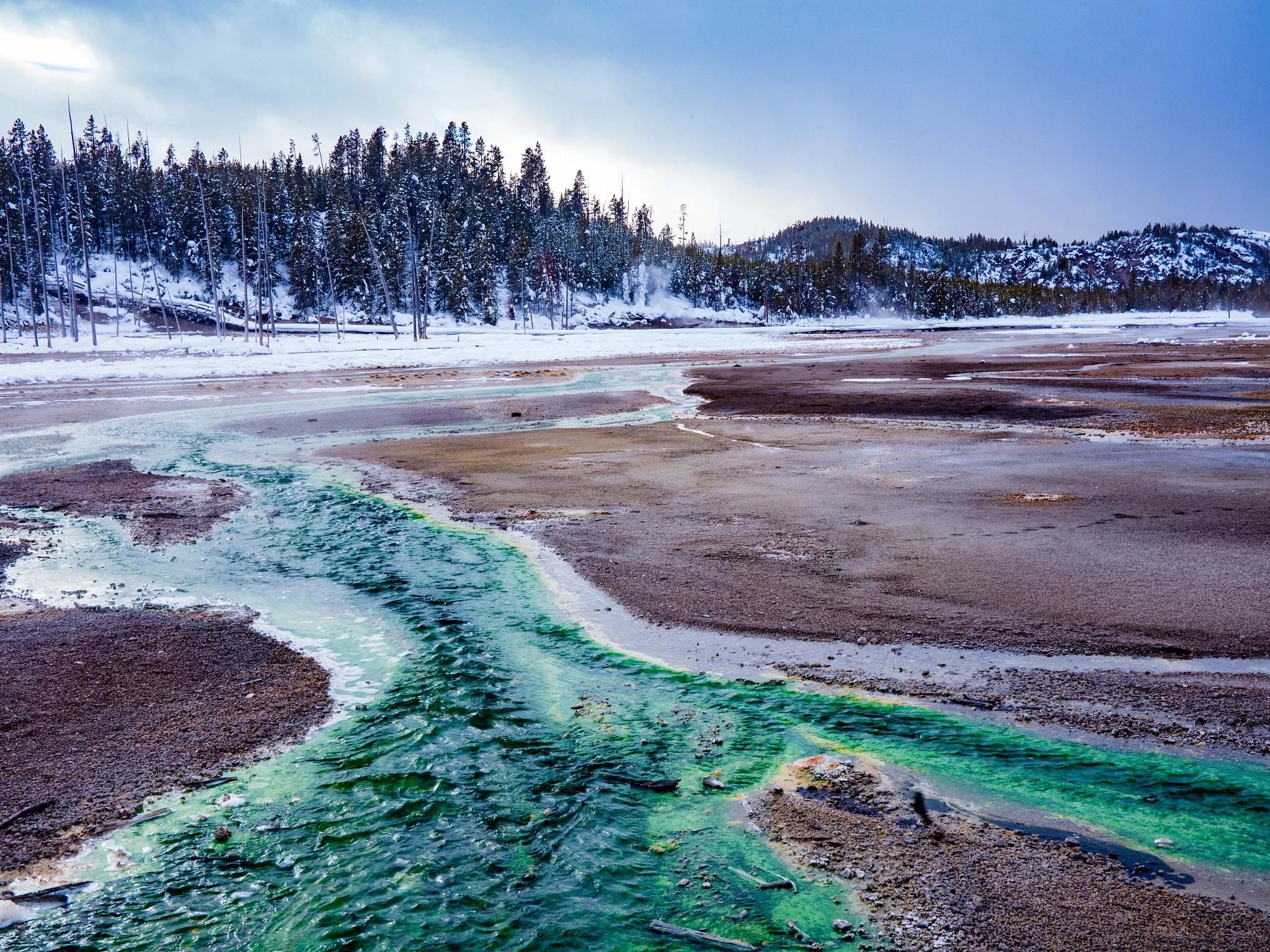 Panasonic Lumix DMC-GX8 + LUMIX G 20/F1.7 II sample photo. Norris of yellowstone photography