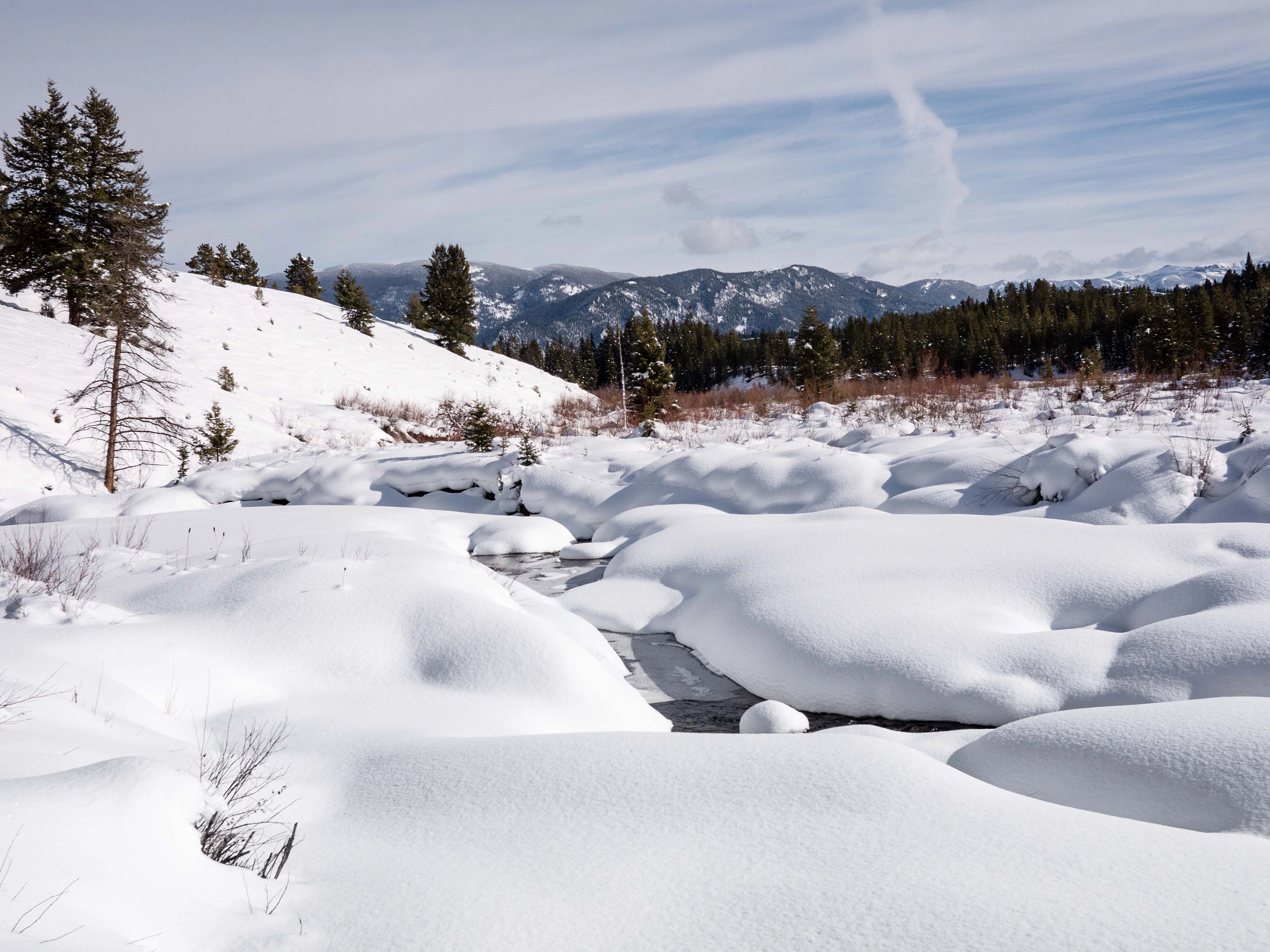 Panasonic Lumix DMC-GX8 + LUMIX G 20/F1.7 II sample photo. Frozen creek, winter shore photography