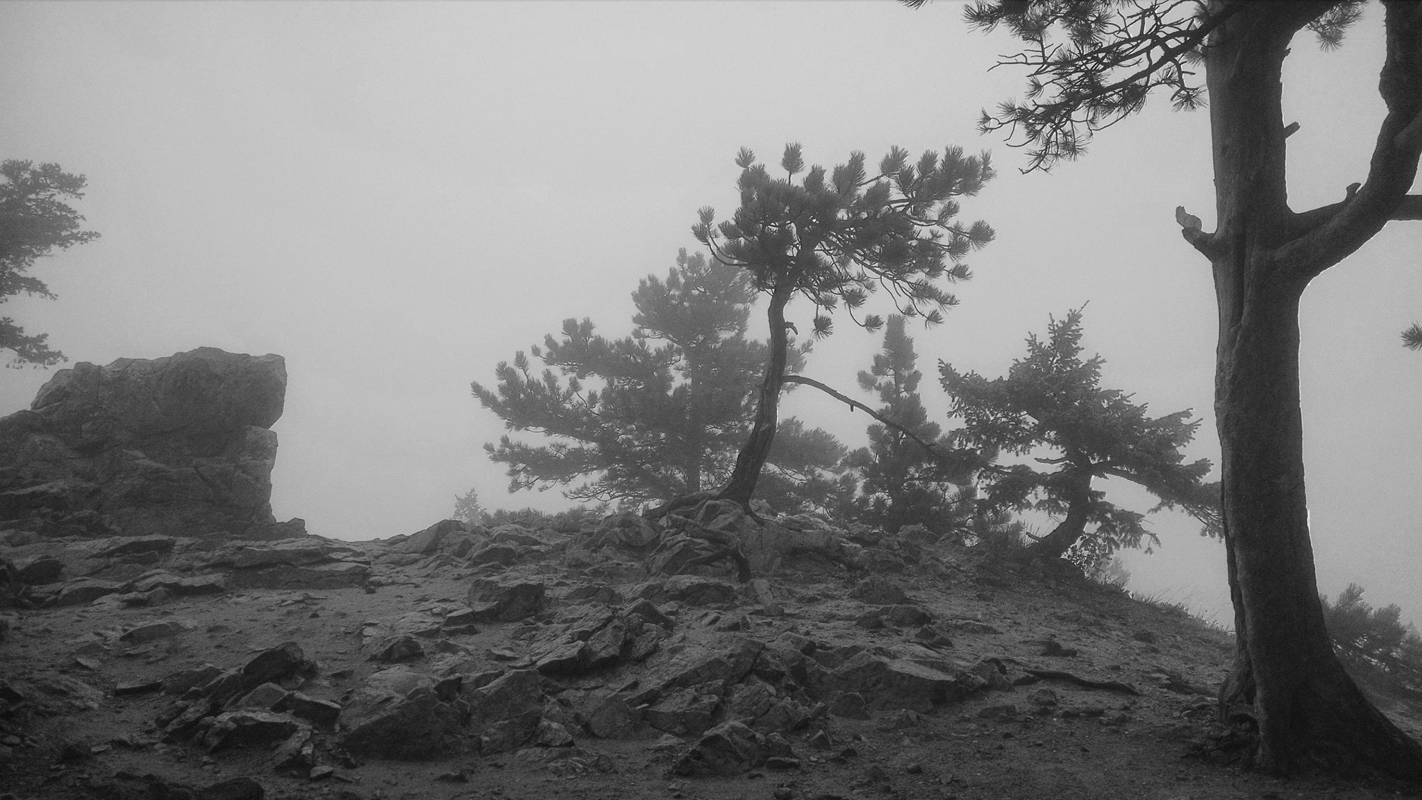Motorola Droid Mini sample photo. Flagstaff mountain photography