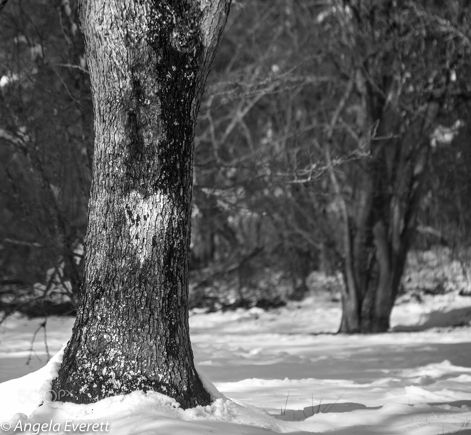 Sigma 28-200mm F3.5-5.6 Compact Aspherical Hyperzoom Macro sample photo. Heat photography