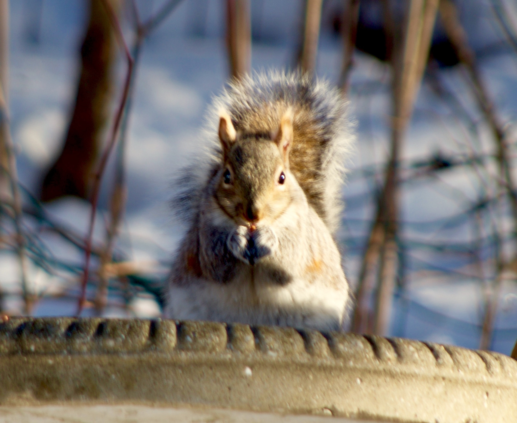 Pentax smc DA 55-300mm F4.0-5.8 ED sample photo. Me and you photography