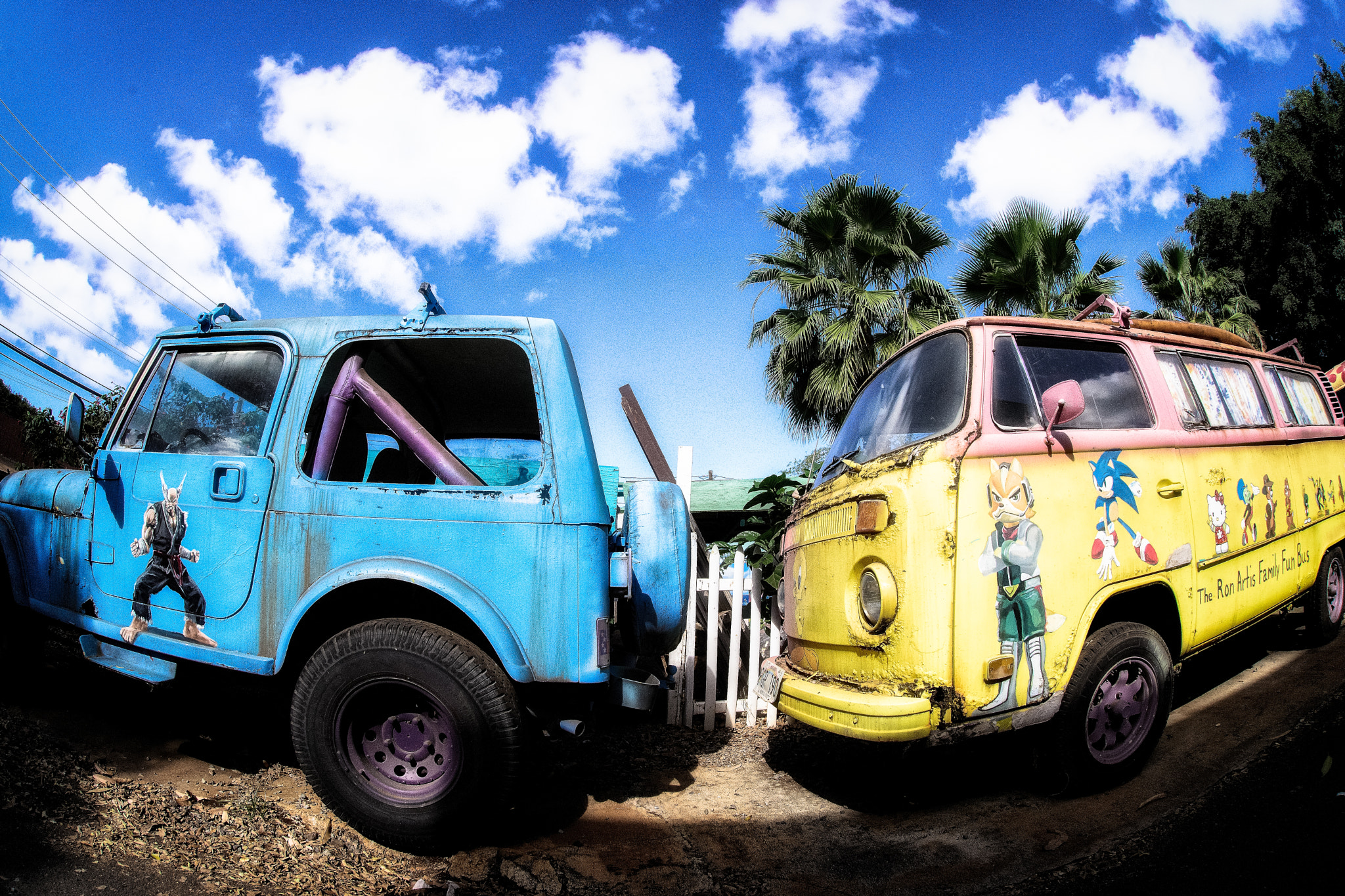 Sigma 15mm F2.8 EX DG Diagonal Fisheye sample photo. Colors of hawaii. photography