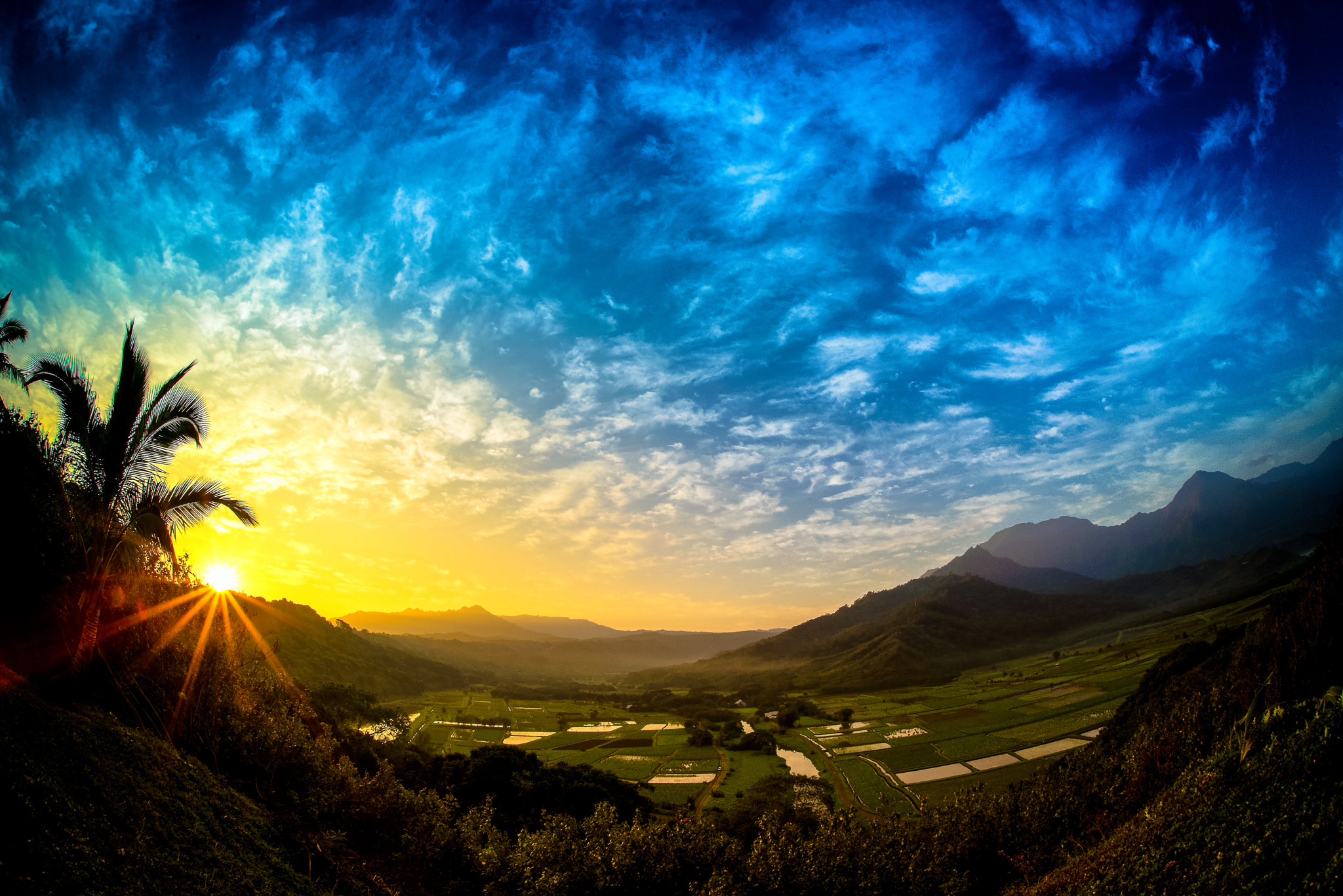 Nikon D600 + Sigma 15mm F2.8 EX DG Diagonal Fisheye sample photo. Colors of hawaii. photography