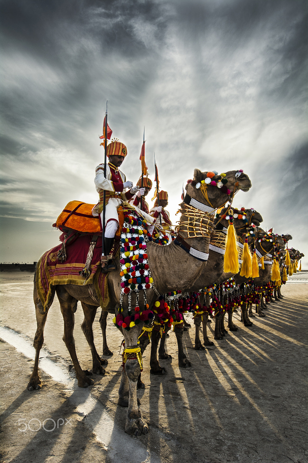 Nikon AF-S Nikkor 14-24mm F2.8G ED sample photo. Royal camels. photography