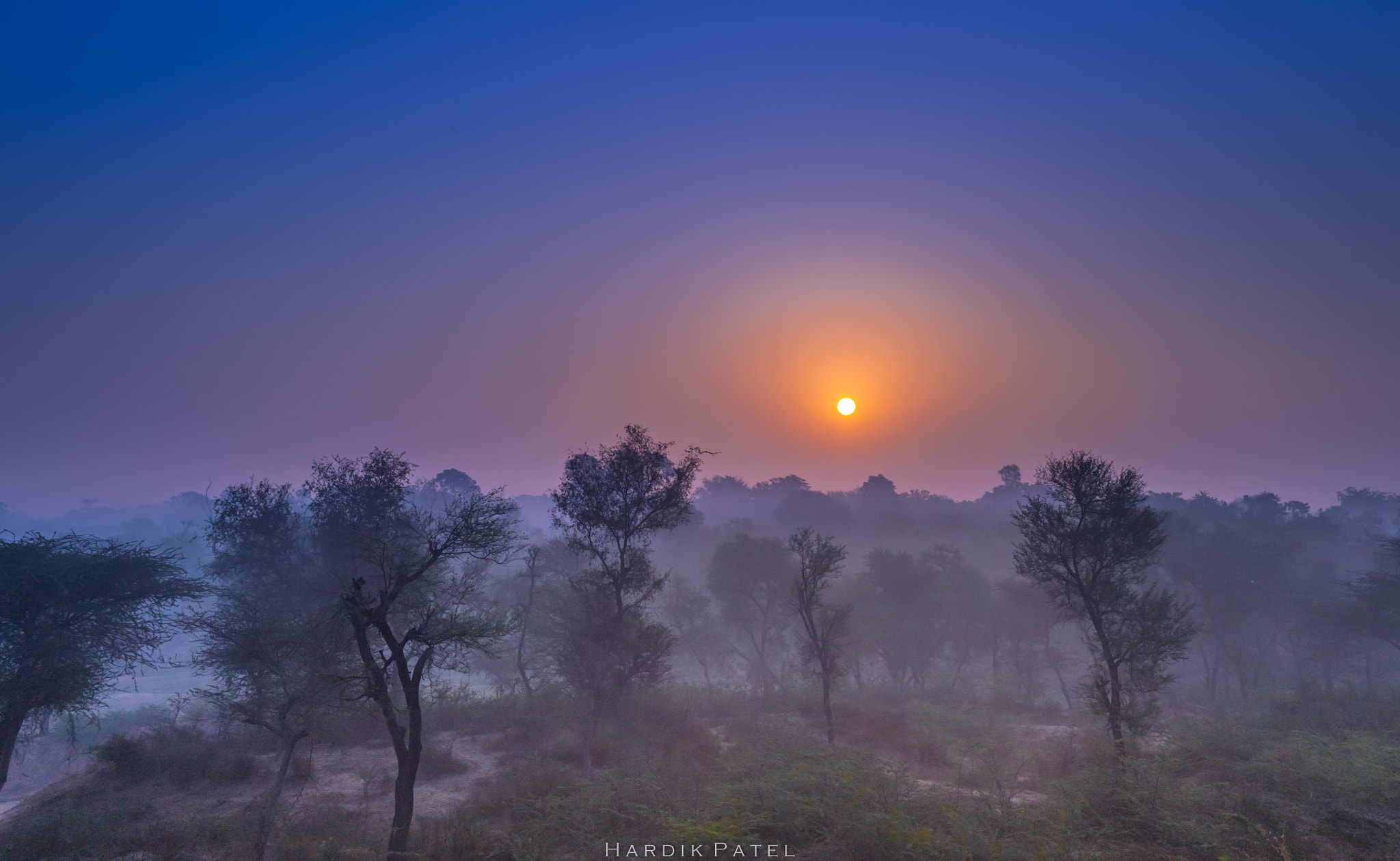 Nikon D4S + Sigma 50mm F1.4 DG HSM Art sample photo. Misty morning photography