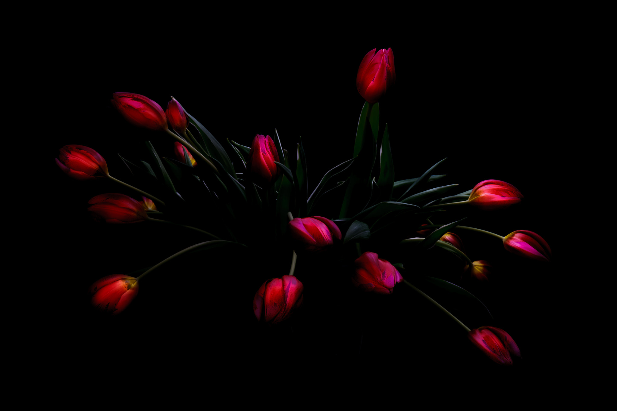 Canon EOS 1000D (EOS Digital Rebel XS / EOS Kiss F) sample photo. "glow in the dark..." photography