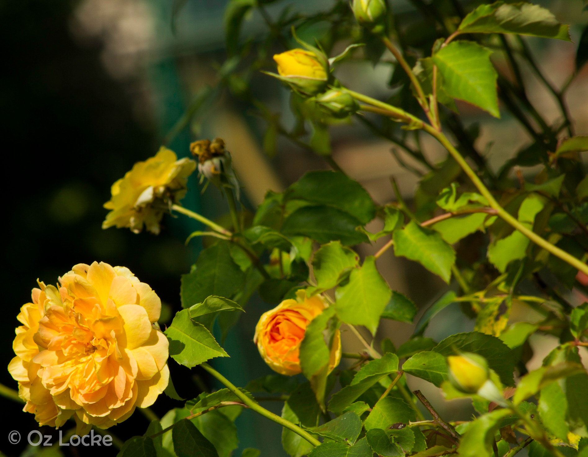 Canon EF 80-200mm F4.5-5.6 II sample photo. In stages photography