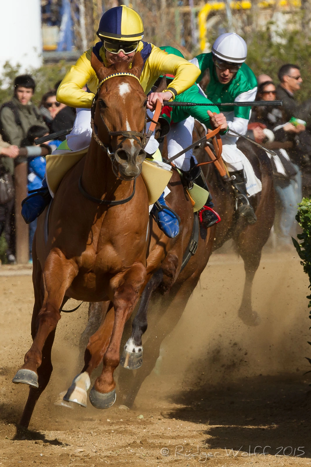 Canon EF 70-200mm F4L IS USM sample photo. Horse-race, vila-seca, spain photography