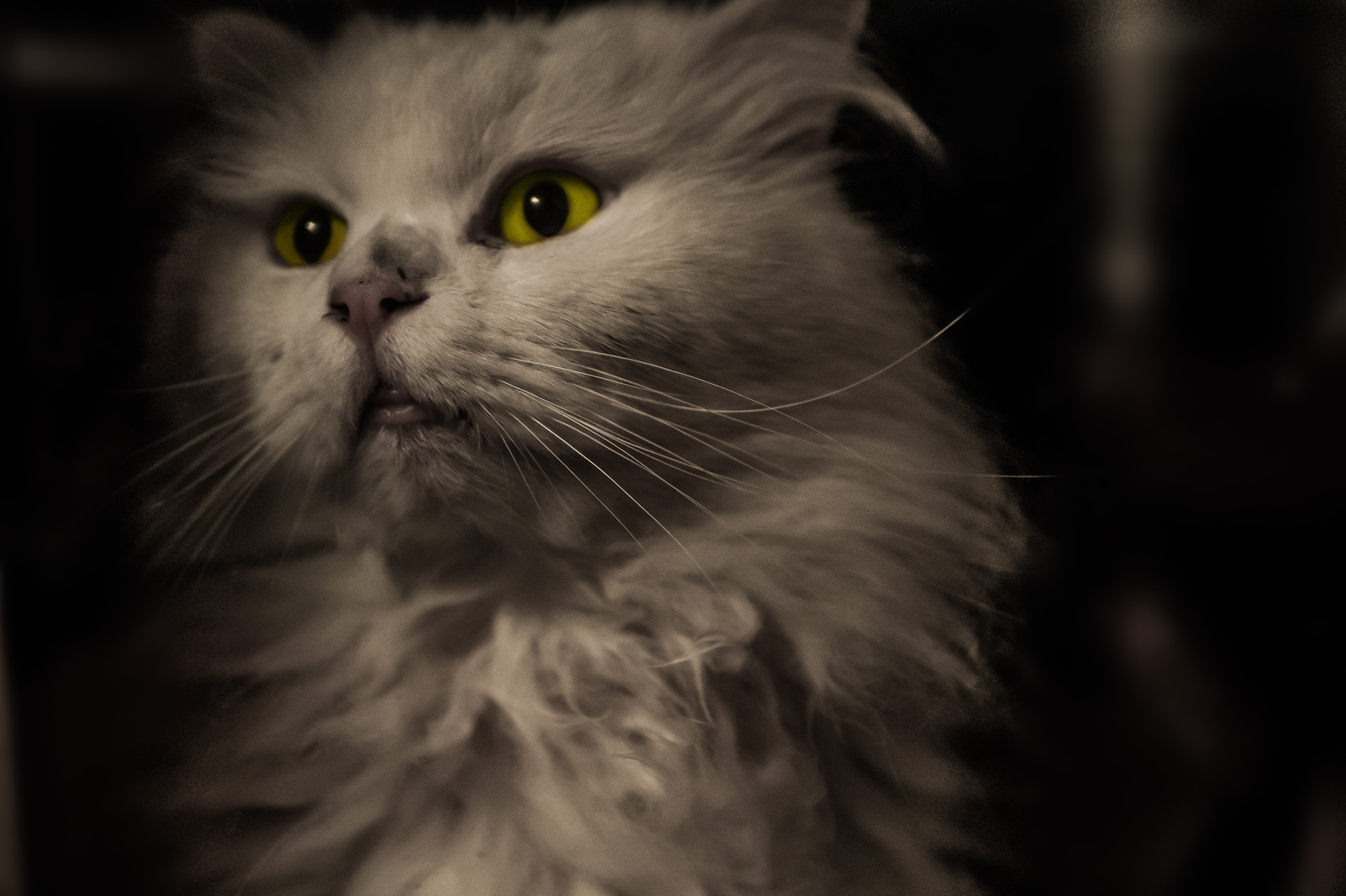 Olympus OM-D E-M10 + Panasonic Leica DG Summilux 25mm F1.4 II ASPH sample photo. Louis photography