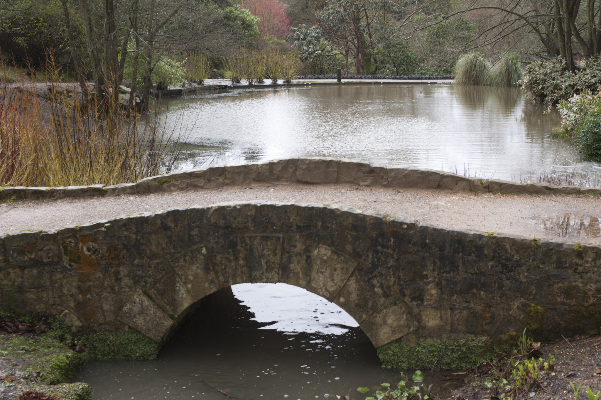 Nikon D700 + AF Zoom-Nikkor 35-70mm f/2.8D sample photo. Wakehurst flooding, lakehurst, sussex, uk. photography