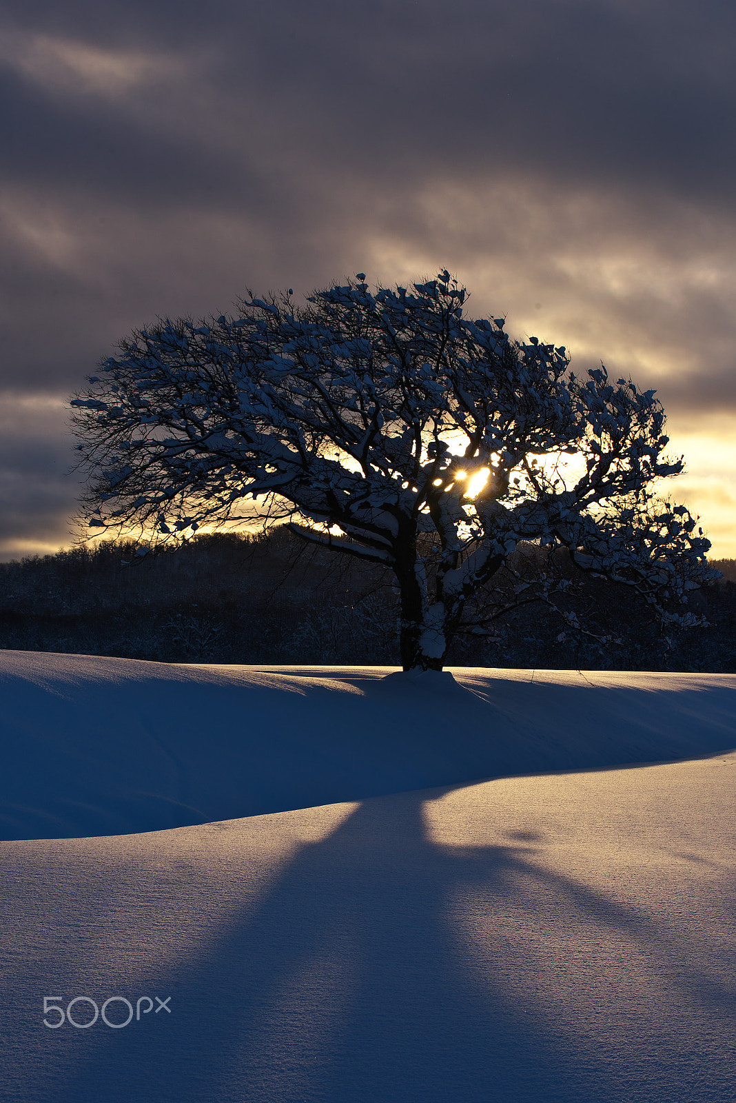 VR 70-200mm F/4.0 G sample photo. Winter morning photography