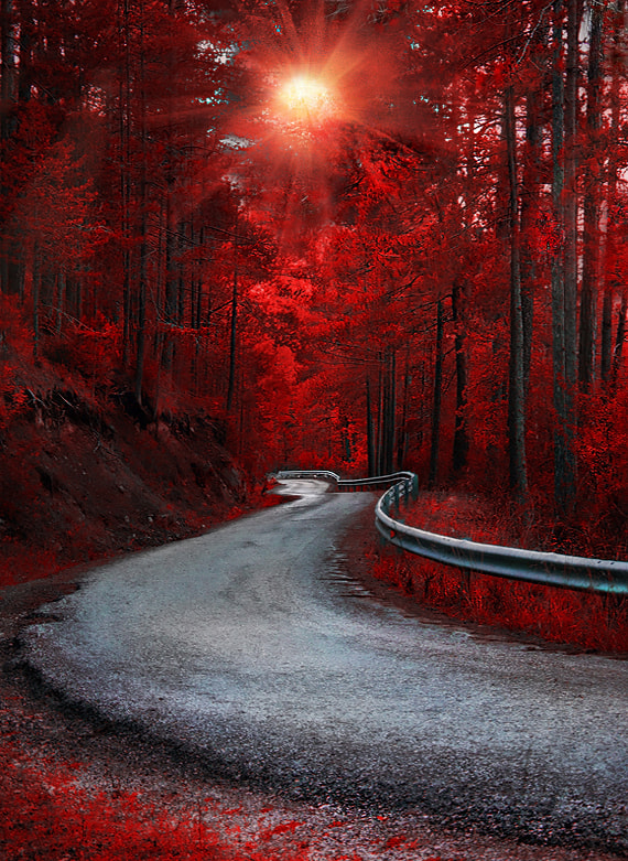 v2?sig=1122718776f1d2b56f9c009abb336580742a2b9745f20016308d9306a3ff43ad