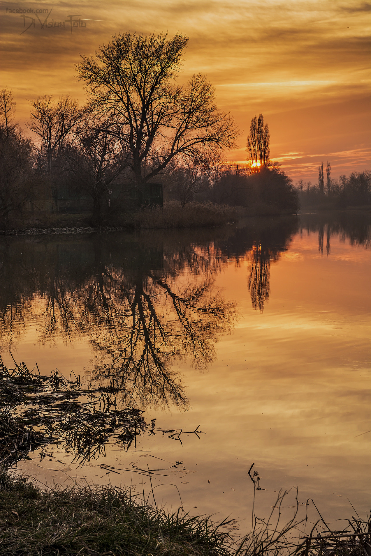 Sigma 17-70mm F2.8-4 DC Macro OS HSM | C sample photo. Orange sunset photography