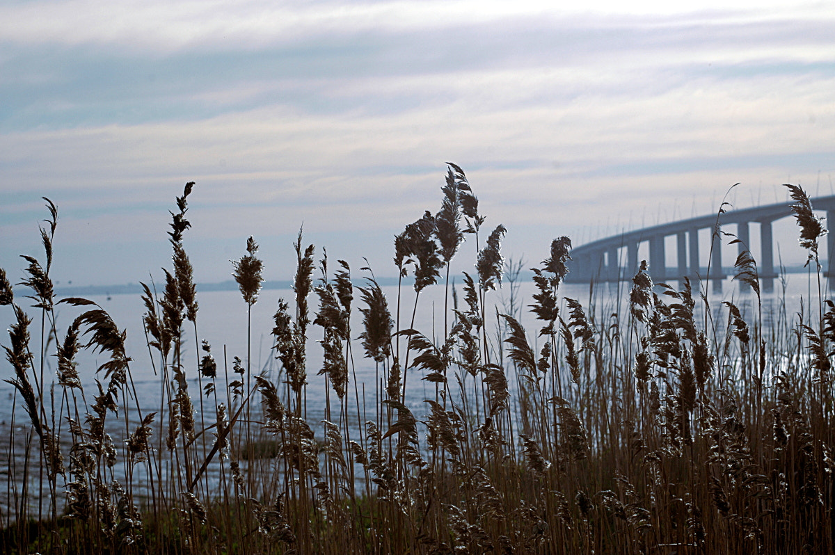 AF Zoom-Nikkor 35-70mm f/3.3-4.5 N sample photo. # photography