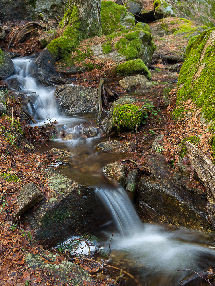 Olympus OM-D E-M10 + Tamron 14-150mm F3.5-5.8 Di III sample photo. Cascada de la chorrera photography