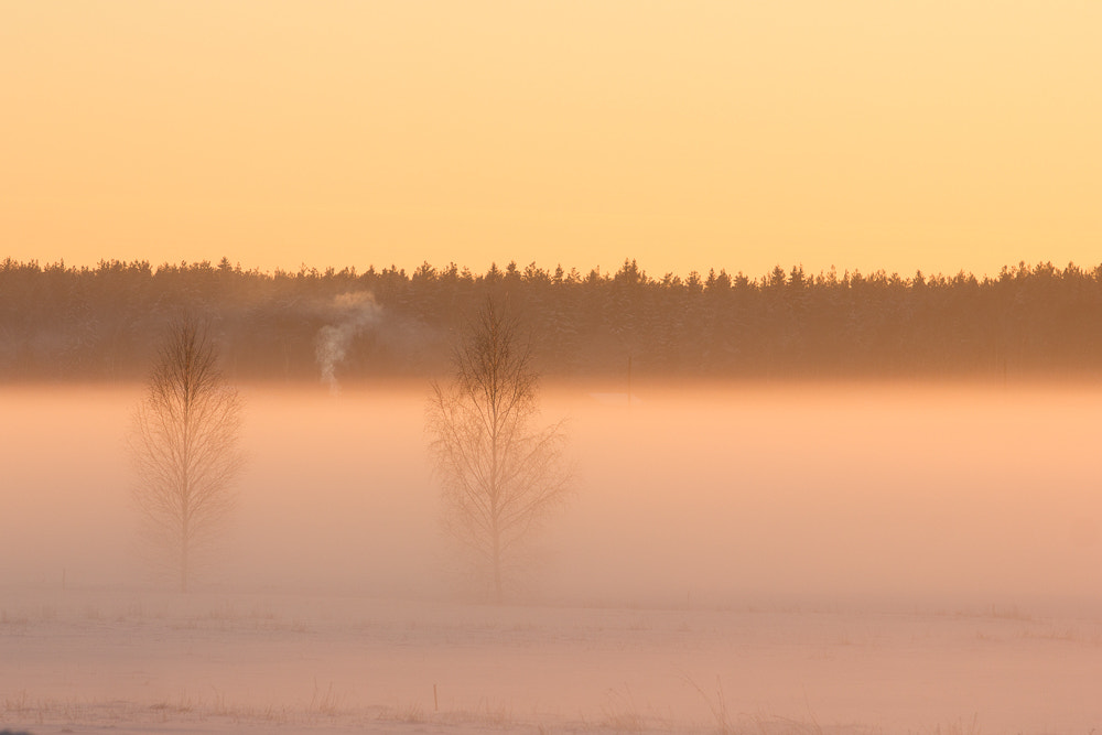 Canon EF 70-200mm F2.8L USM sample photo. Winter fog photography