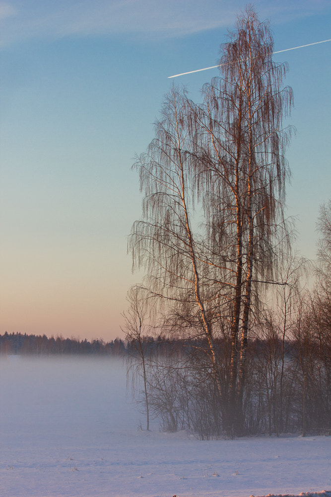 Canon EF 70-200mm F2.8L USM sample photo. Winter fog-2 photography