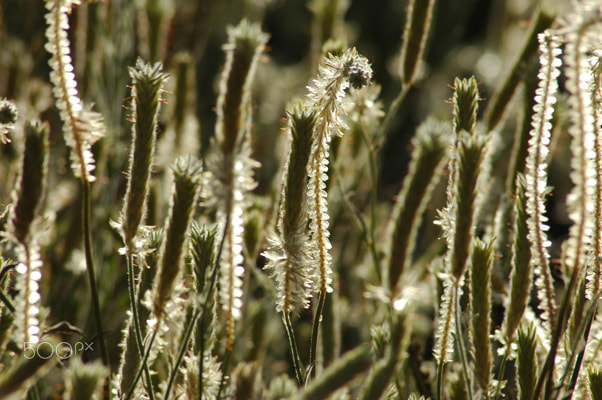 Nikon D70s sample photo. Beautiful world photography