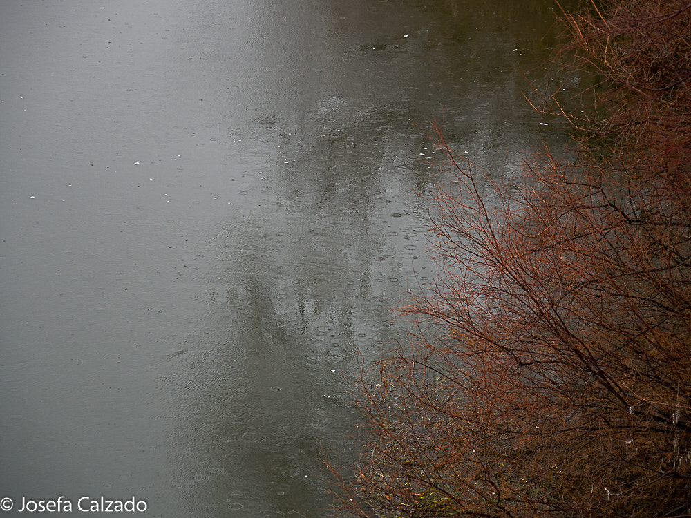 Tamron 14-150mm F3.5-5.8 Di III sample photo. Cea el campillo photography