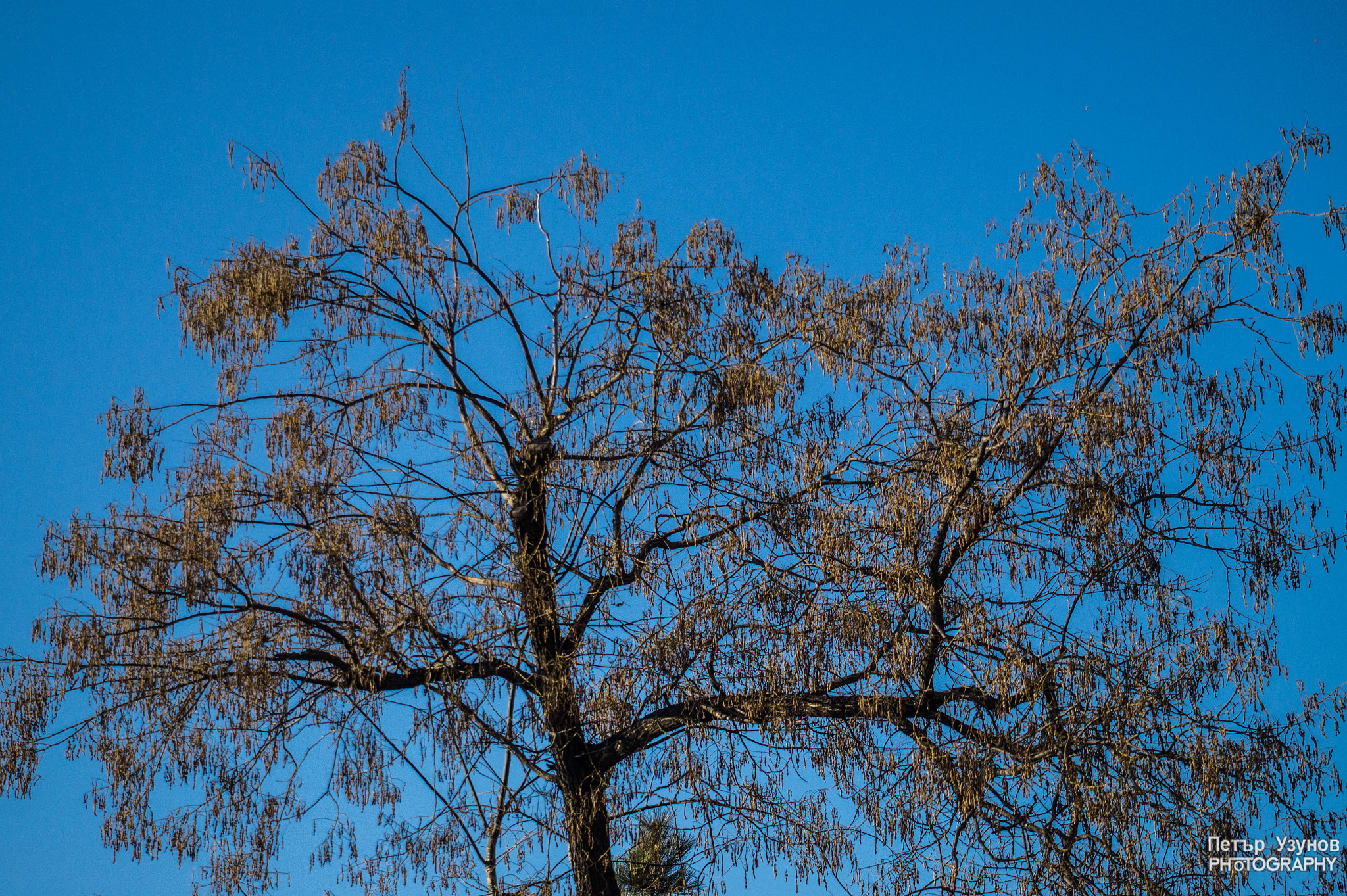 Minolta AF 80-200mm F4.5-5.6 sample photo. Contrast colors photography