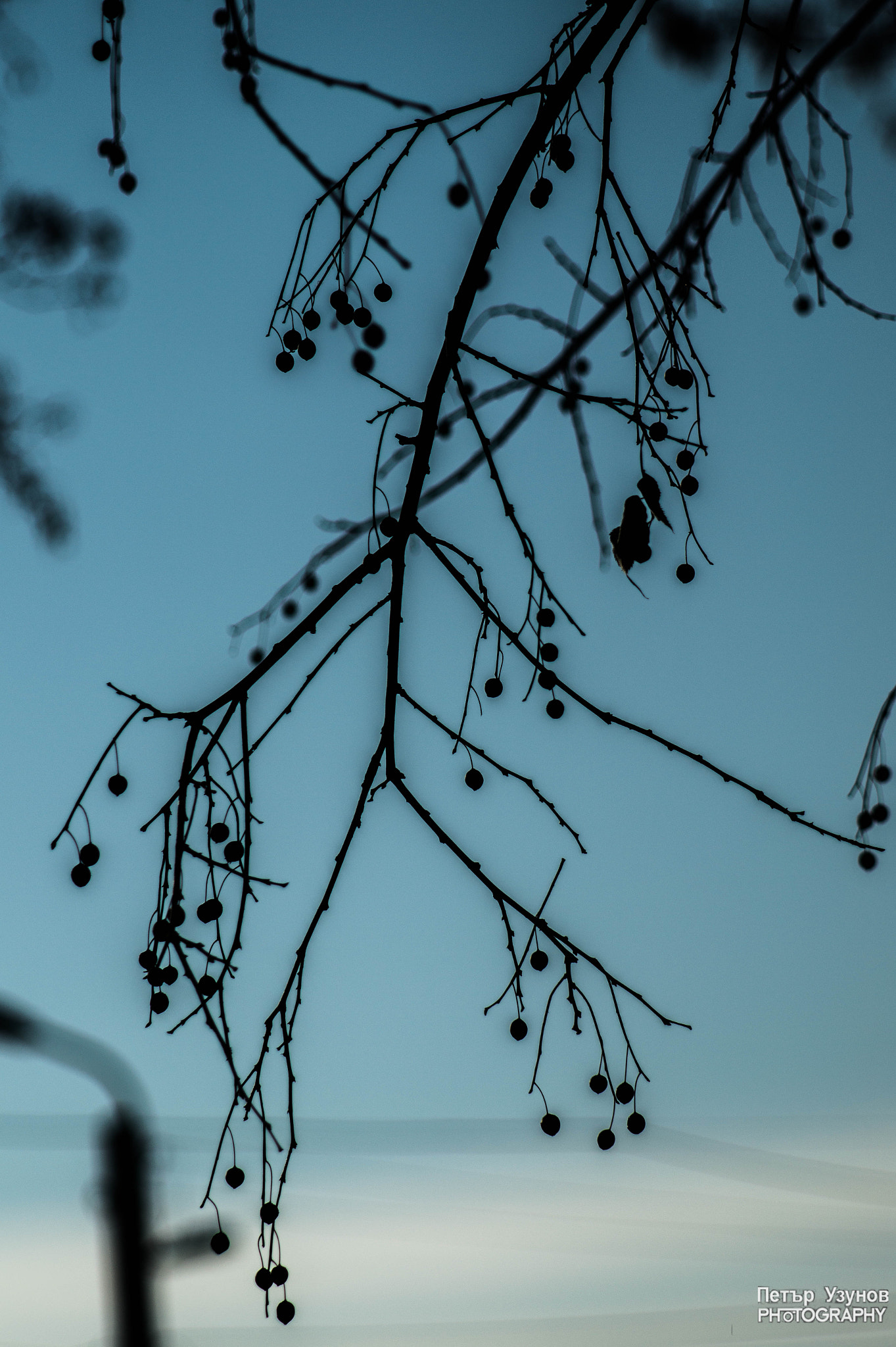 Minolta AF 80-200mm F4.5-5.6 sample photo. Nature silhouette photography