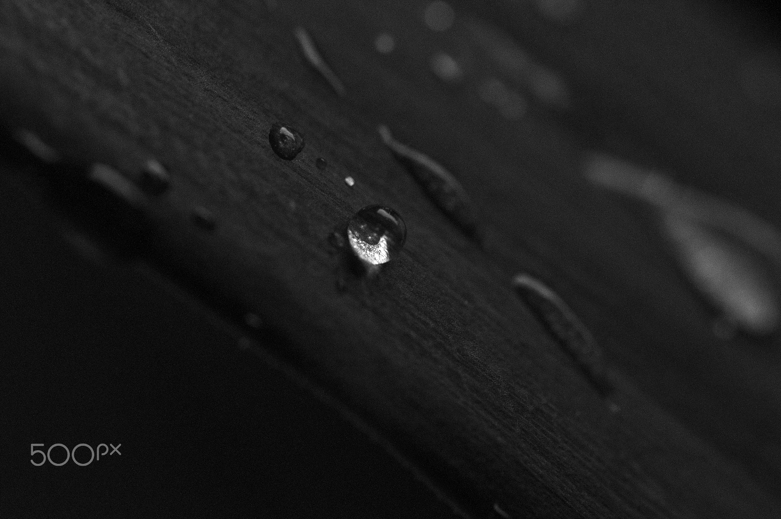Sigma 105mm F2.8 EX DG OS HSM sample photo. One drop photography