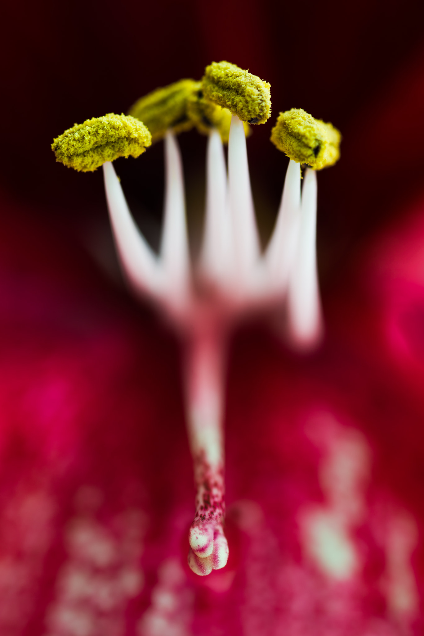 Nikon D600 sample photo. Stick out your "tongue" photography